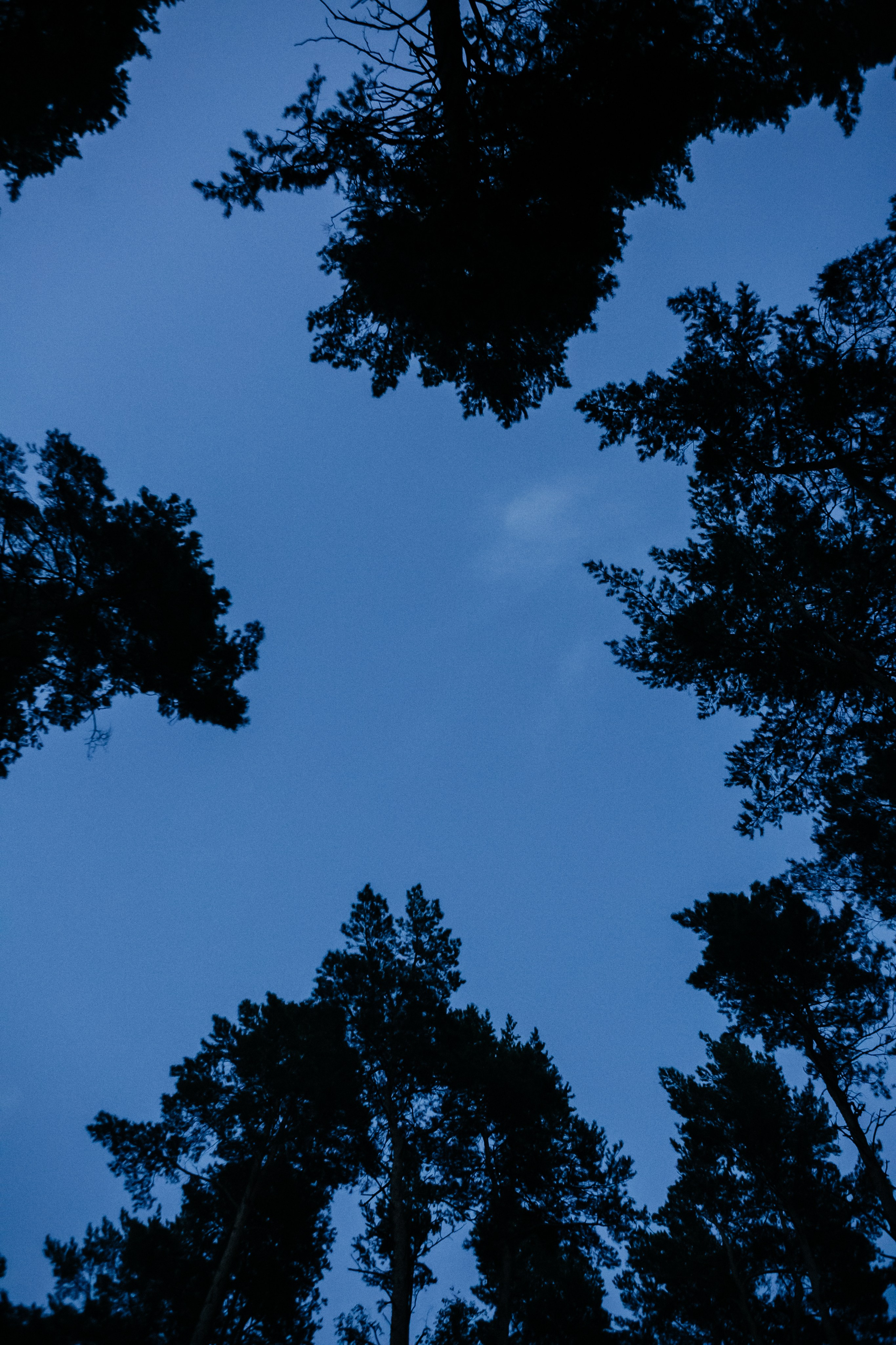 Анонс свадьбы Антона и Софии. Свадебный и семейный фотограф Елена Иштулкина