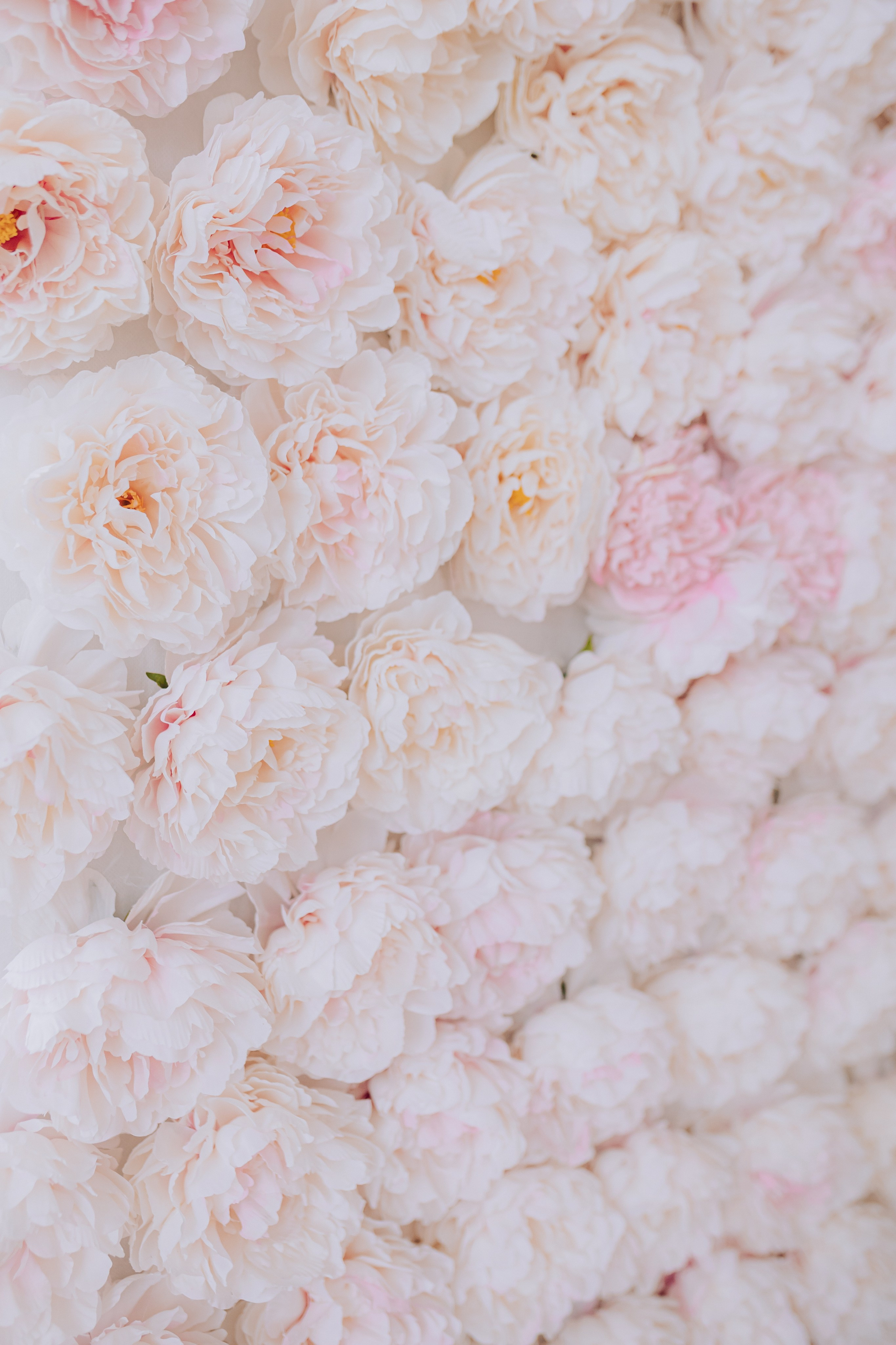 ETO Studio — фотостудия в Минске. Понравилась студия? Напишите — организую съёмку именно здесь. Фотограф в Минске Людмила Дутко