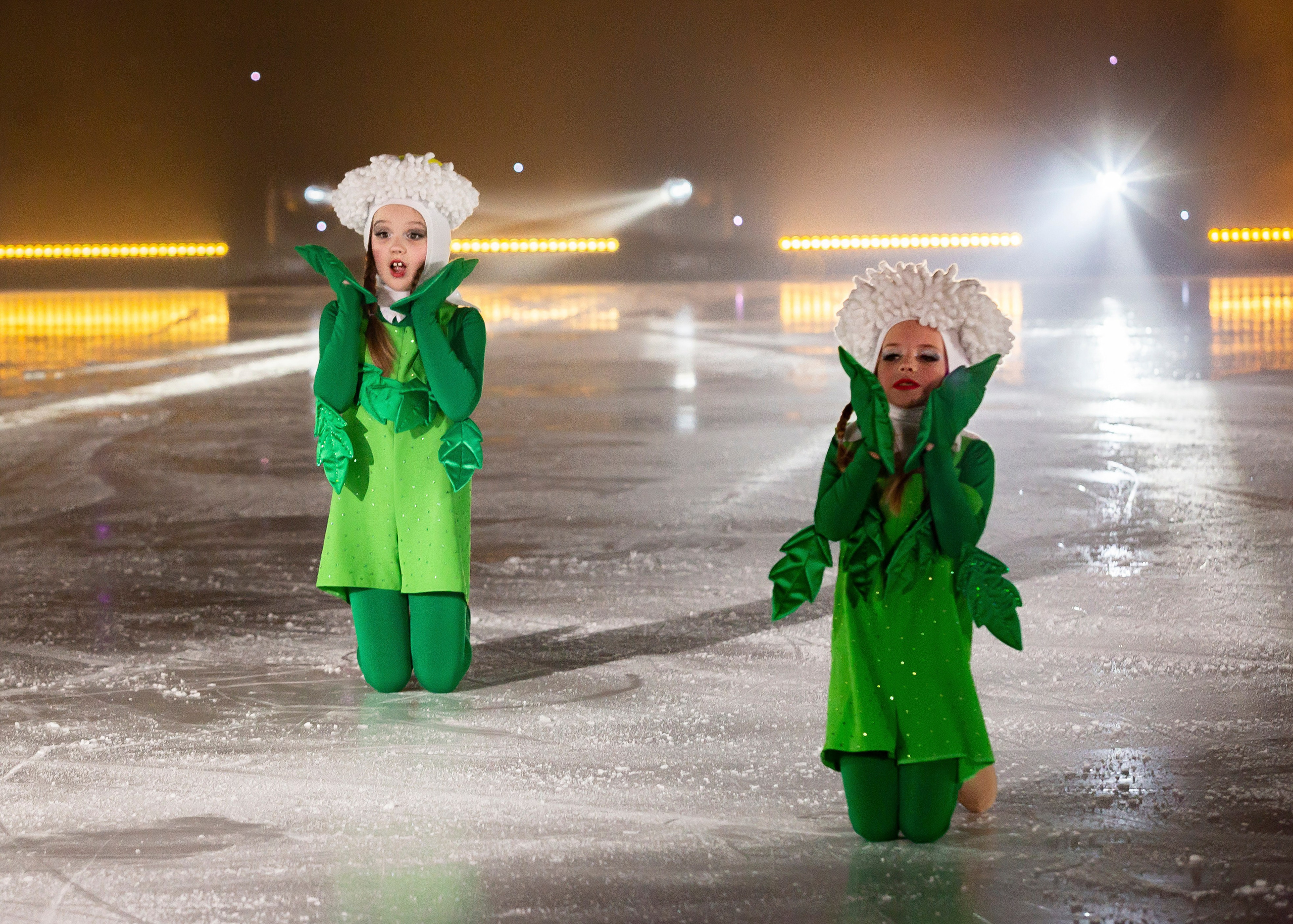 Отчетный концерт. Театр на льду АЛЕКО. Репортажный фотограф в Москве