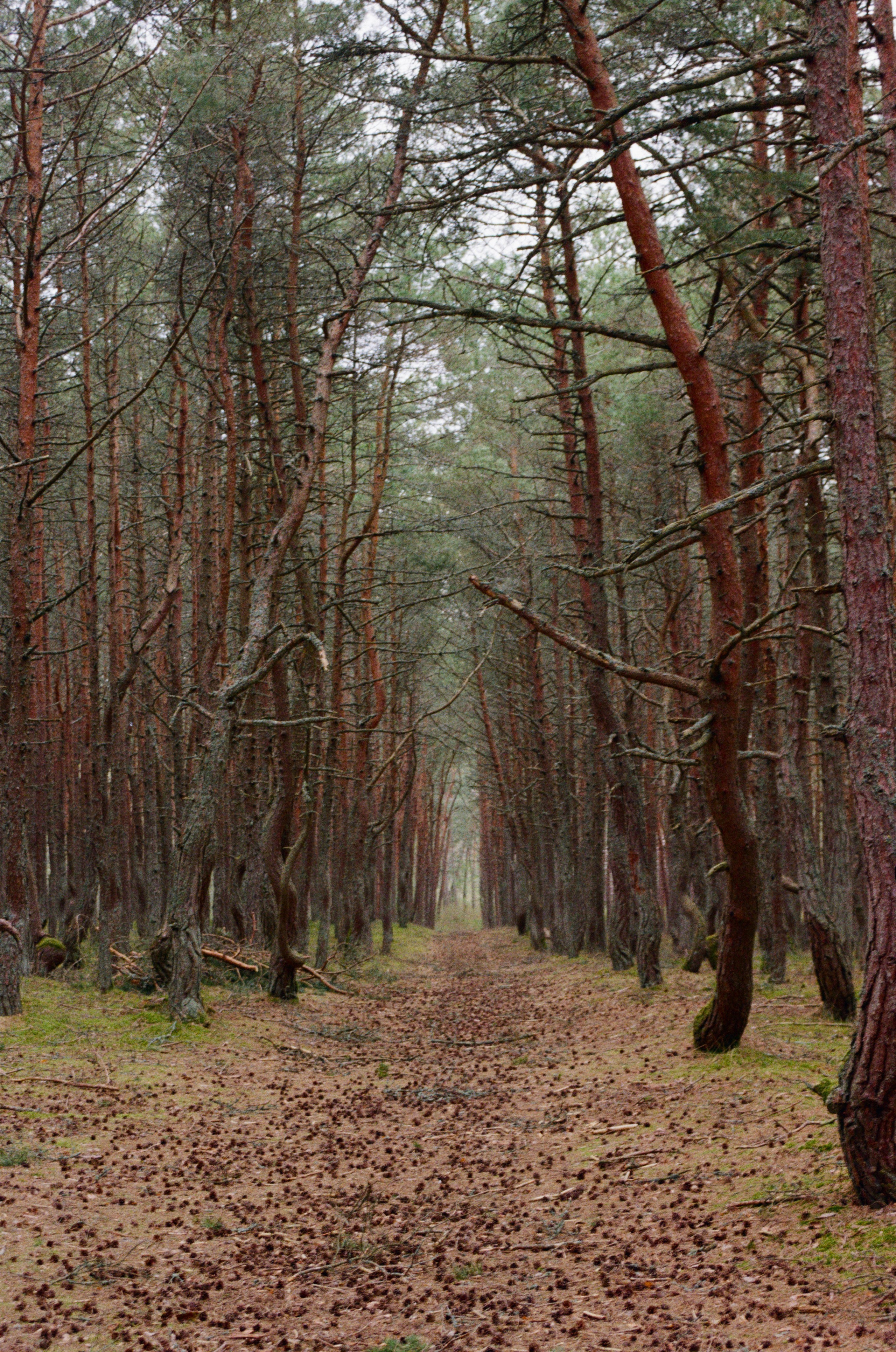 Автор: Юлия Гаркушенко