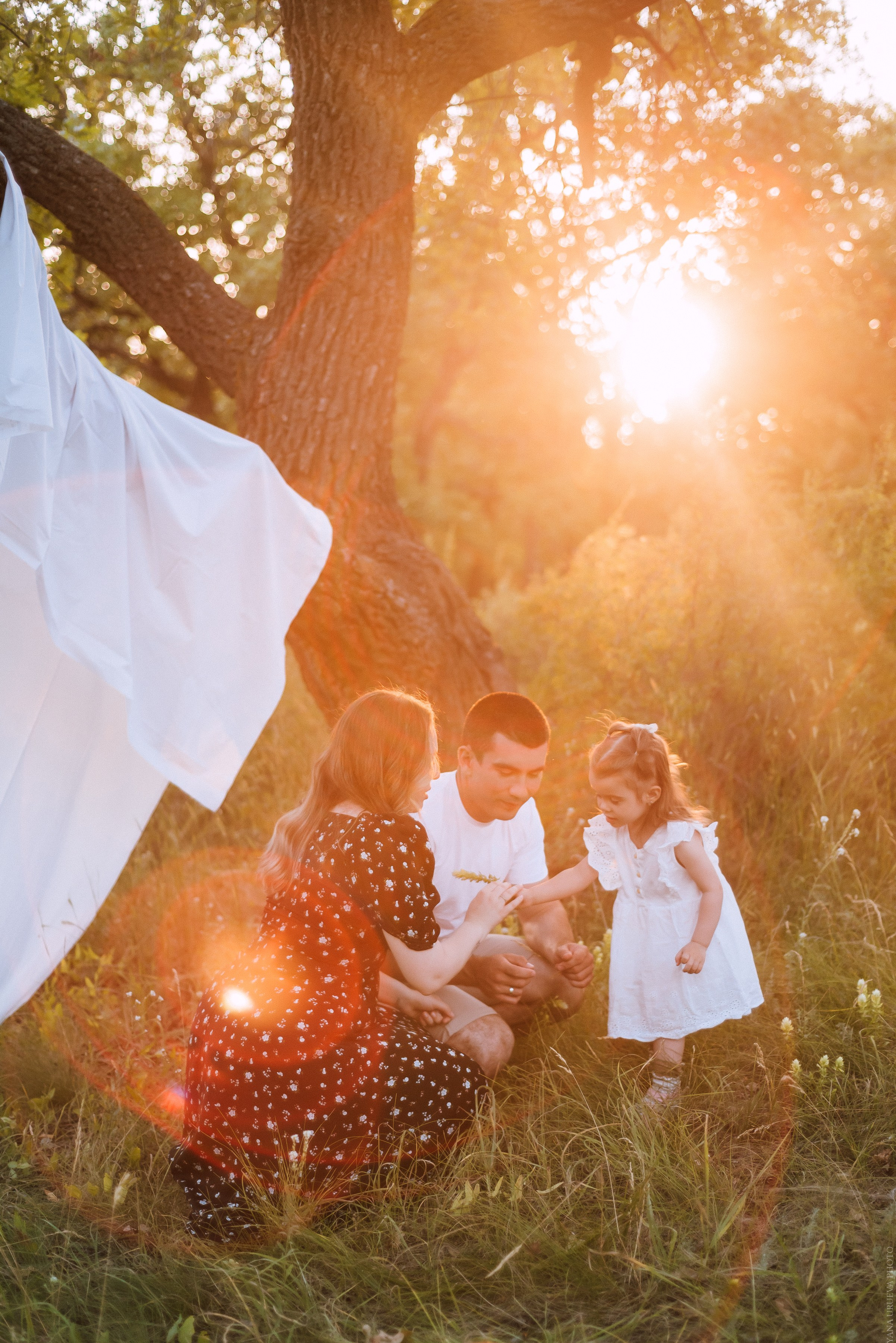 Семья в лучах солнца в лесу