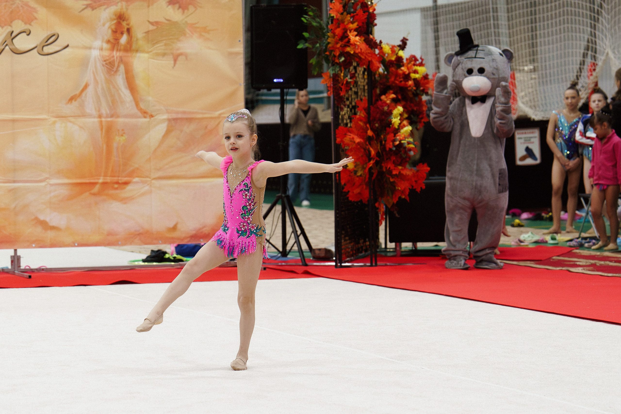 XII городские соревнования по художественной гимнастике «ДЮЙМОВОЧКА». Фотомастерская Воробьевых