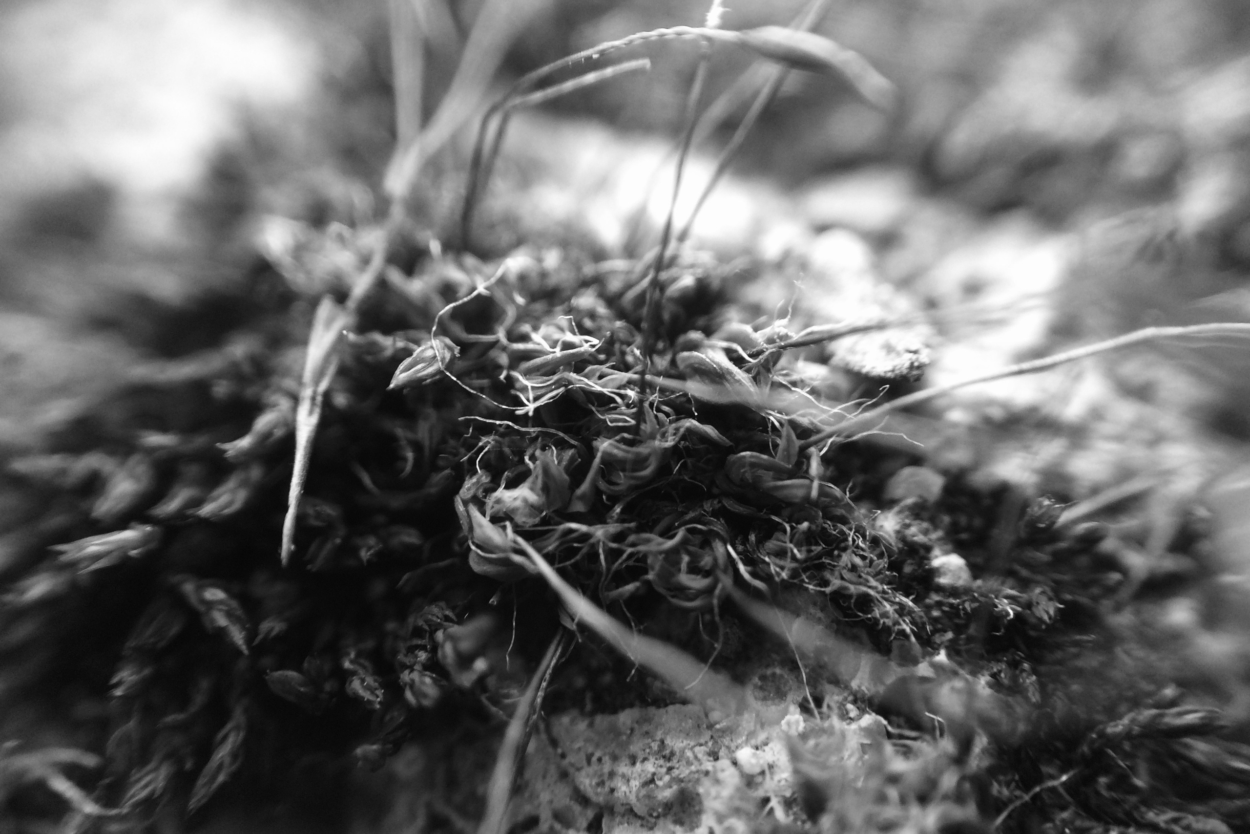 Автор: Сергей