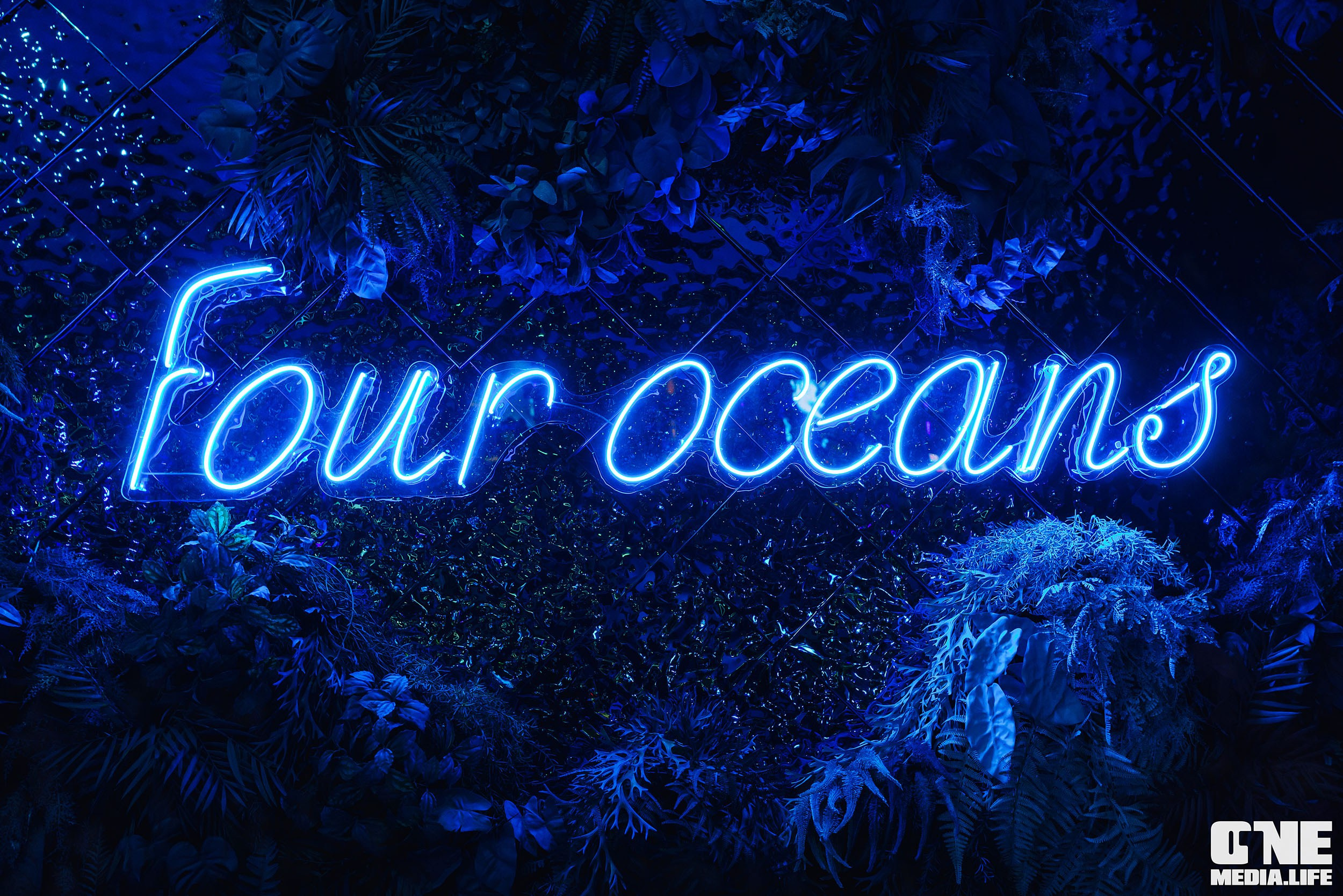 Фоторепортаж из ресторана Океан. One Media Life: фоторепортажи, фотоотчеты с мероприятий и заведений