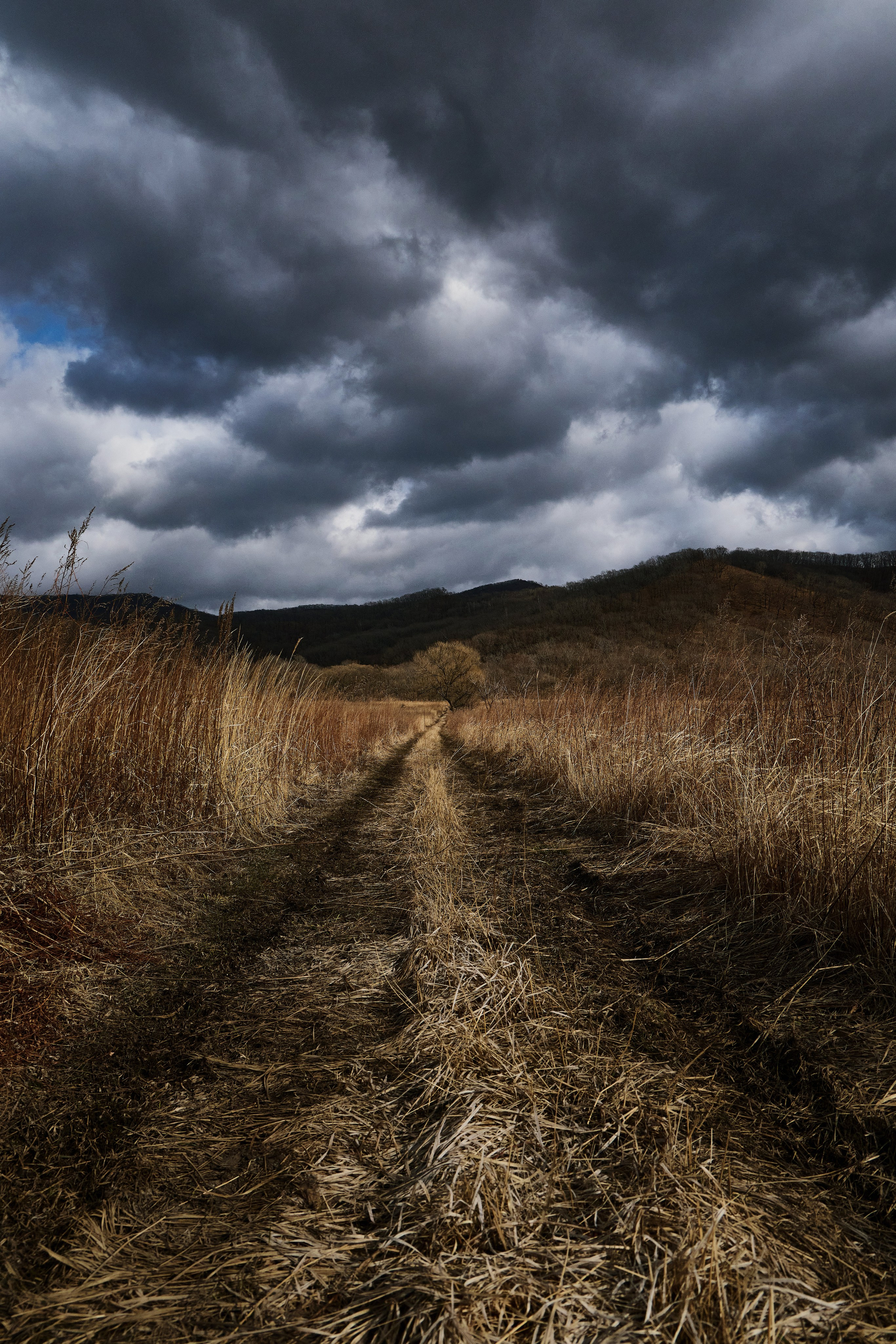 Долгая дорога домой после дождя. Пример весенней тревел фотографии