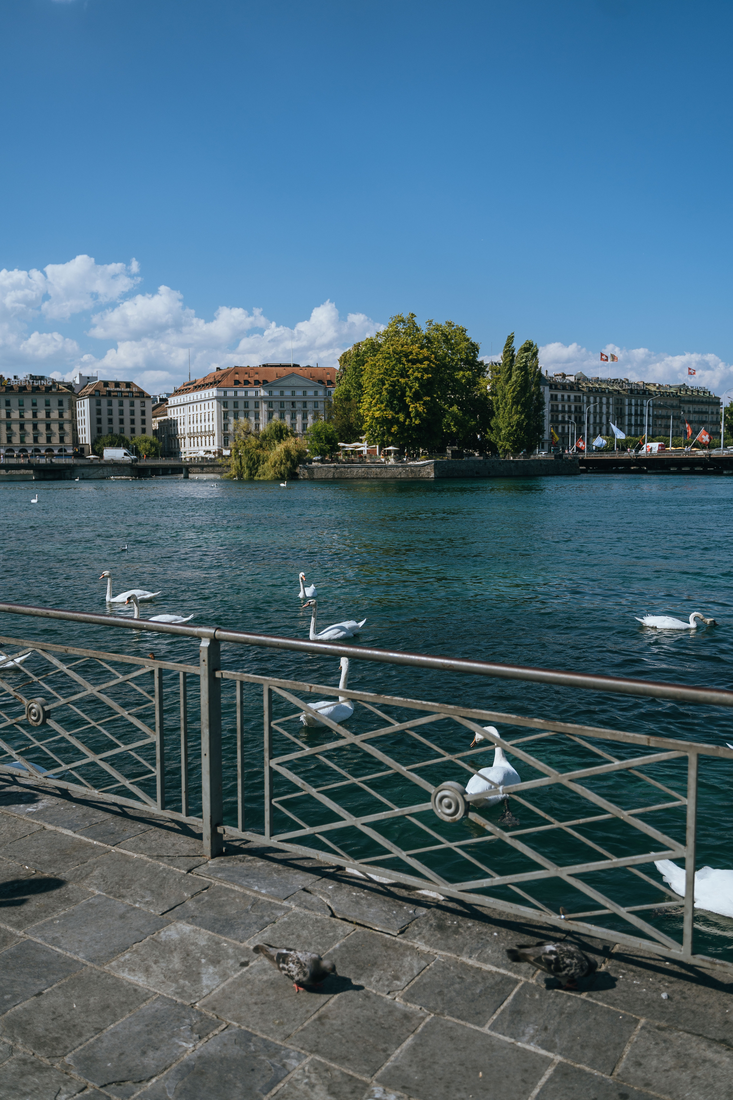 Places for a photo shoot in Geneva: around Four Seasons Hotel. Photographe de Mariage Professionnelle — Genève & Suisse Romande | Tanya Creator