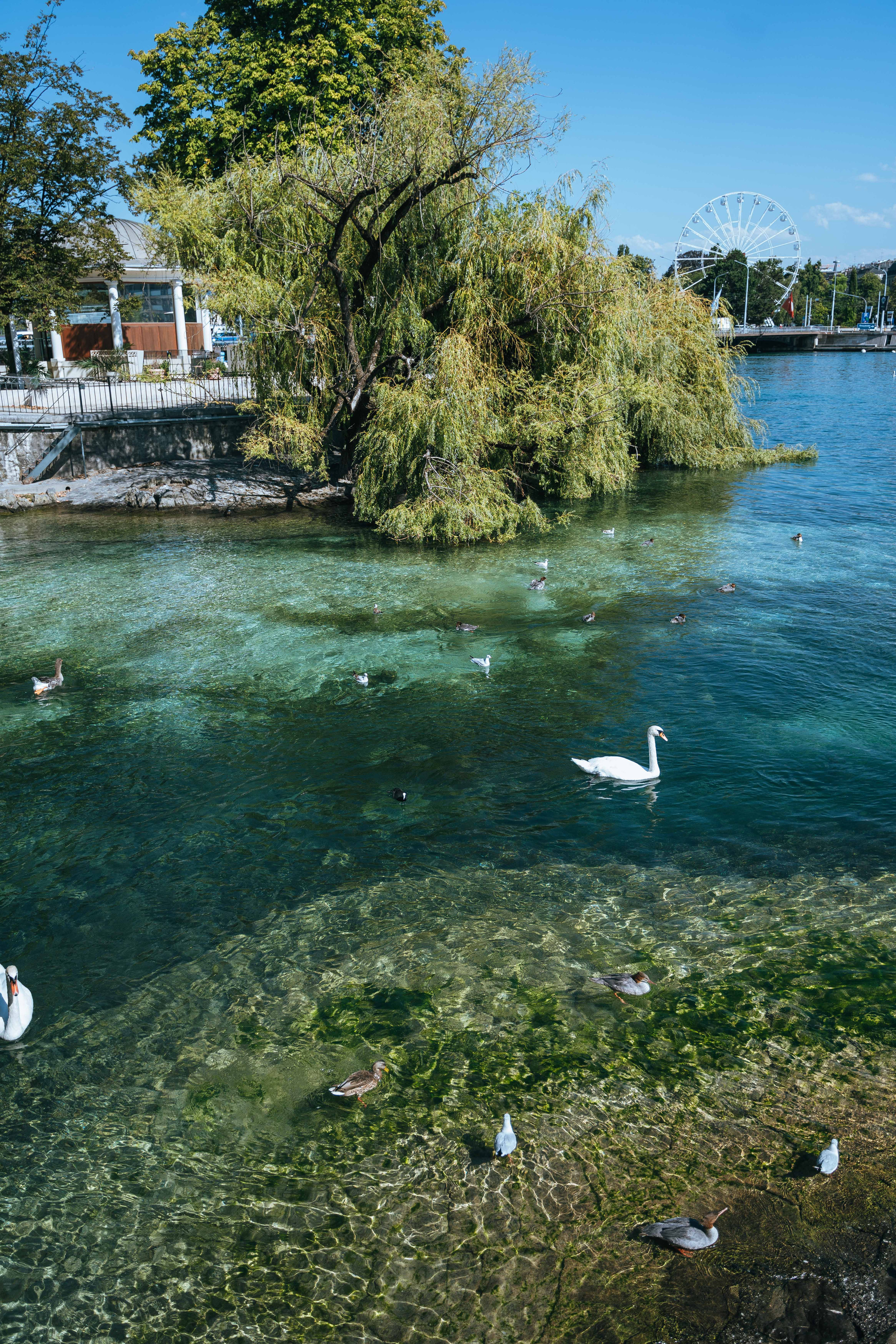 Places for a photo shoot in Geneva: around Four Seasons Hotel. Photographe de Mariage Professionnelle — Genève & Suisse Romande | Tanya Creator