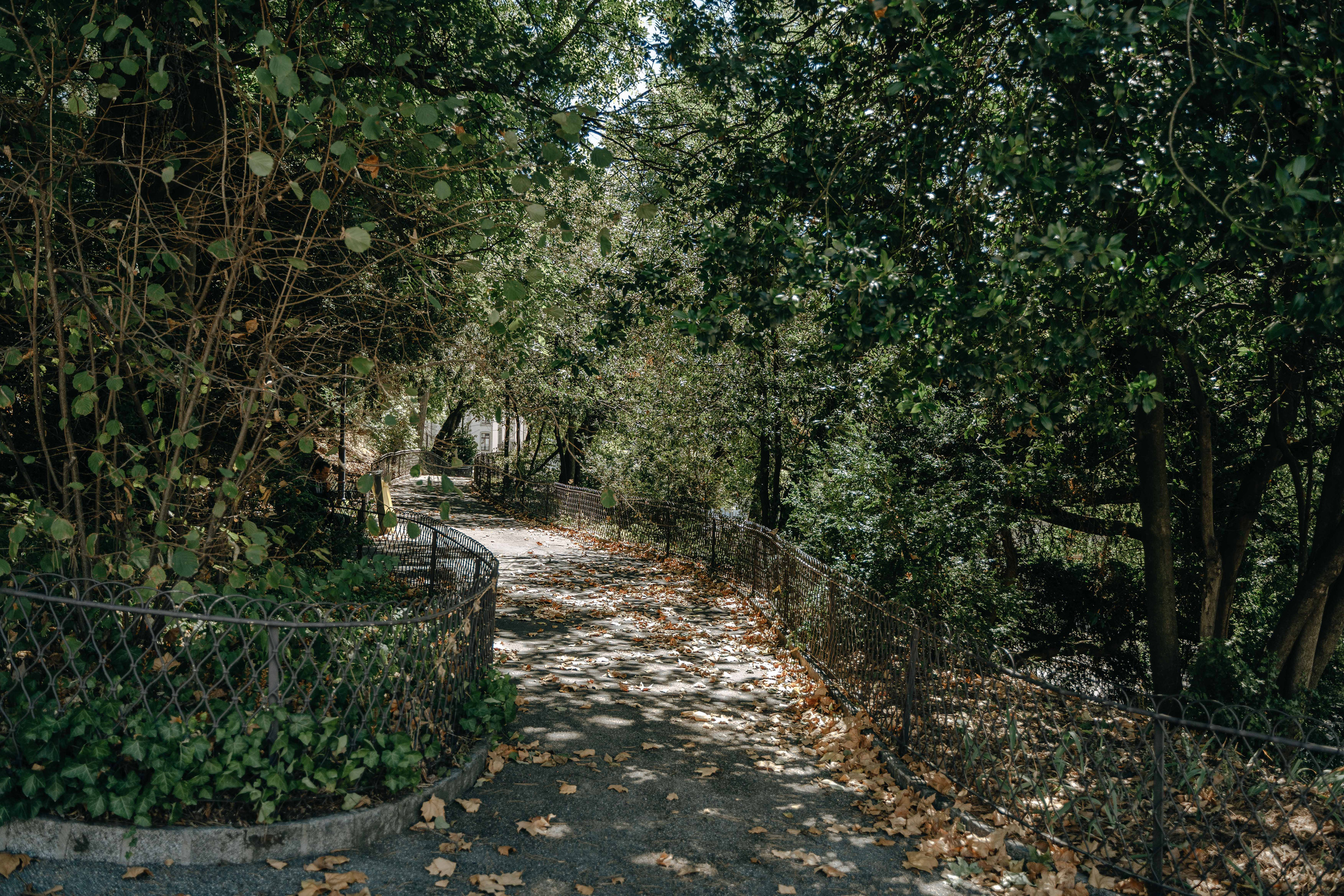 Places for a photo shoot in Geneva: road and park. Professional Wedding Photographer Geneva & Romande Switzerland | Tanya Creator