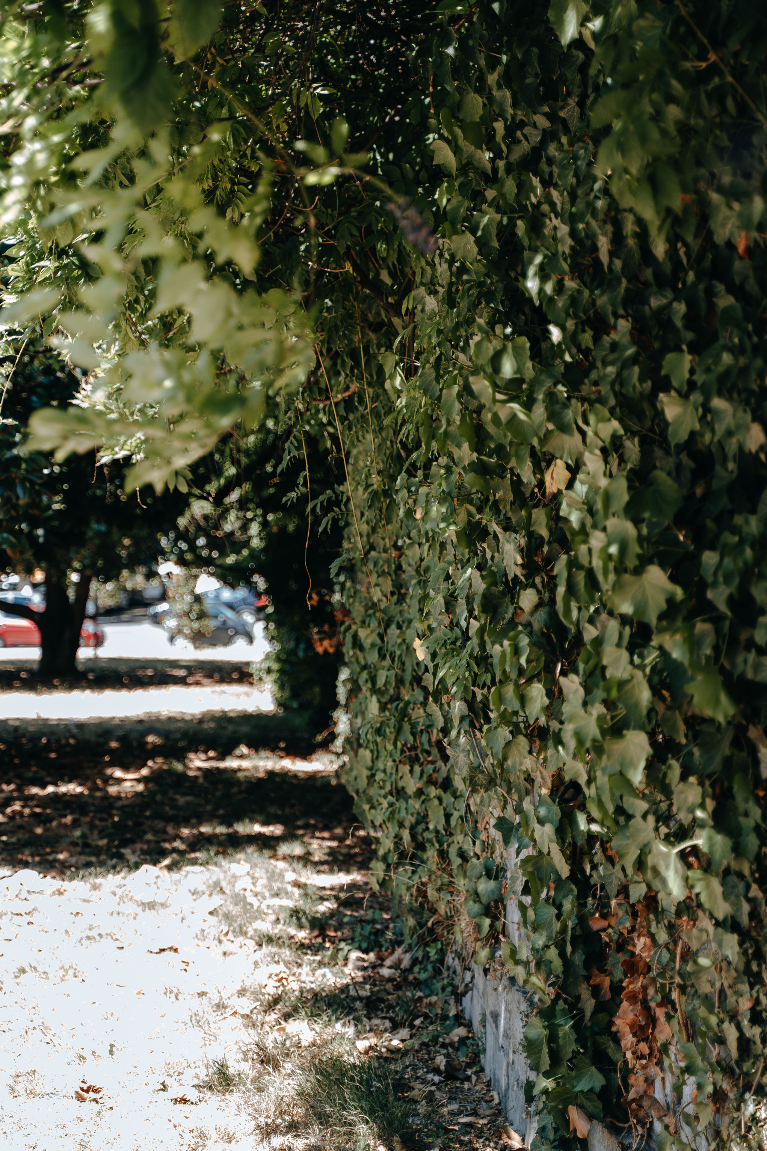Places for a photo shoot in Geneva: the tower and streets. Professional Wedding Photographer Geneva & Romande Switzerland | Tanya Creator