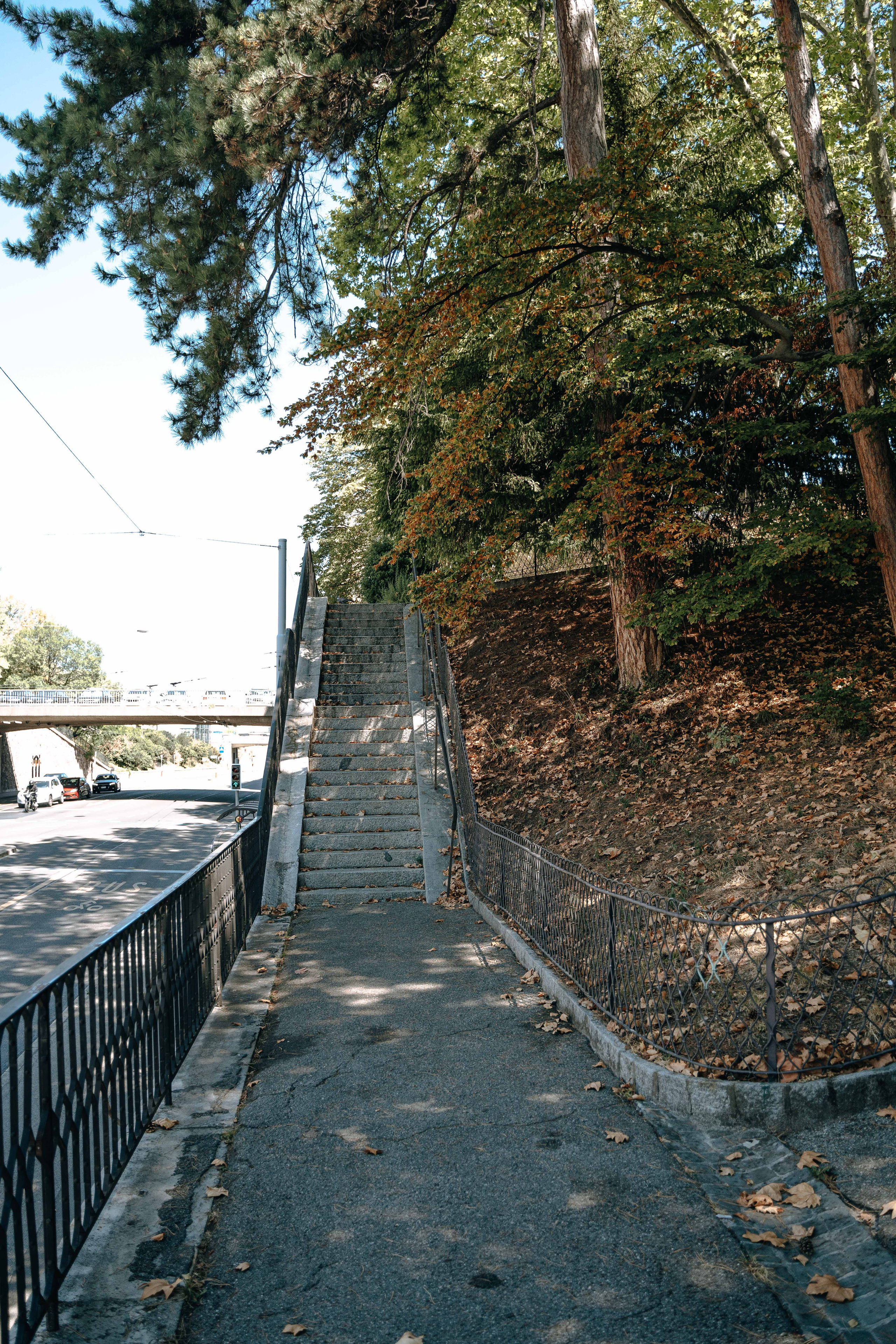 Places for a photo shoot in Geneva: road and park. Professional Wedding Photographer Geneva & Romande Switzerland | Tanya Creator