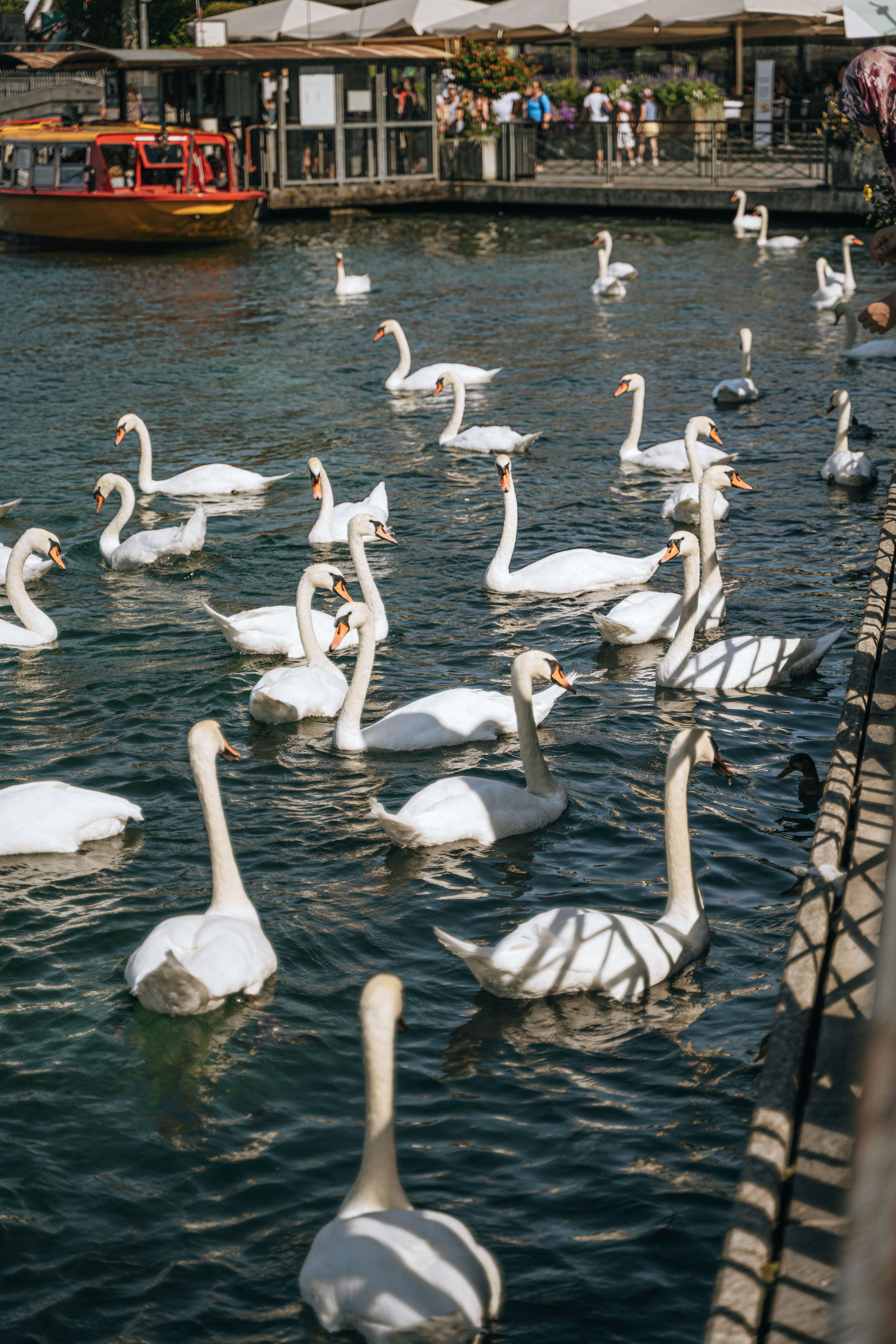 Places for a photo shoot in Geneva: around Four Seasons Hotel. Photographe de Mariage Professionnelle — Genève & Suisse Romande | Tanya Creator