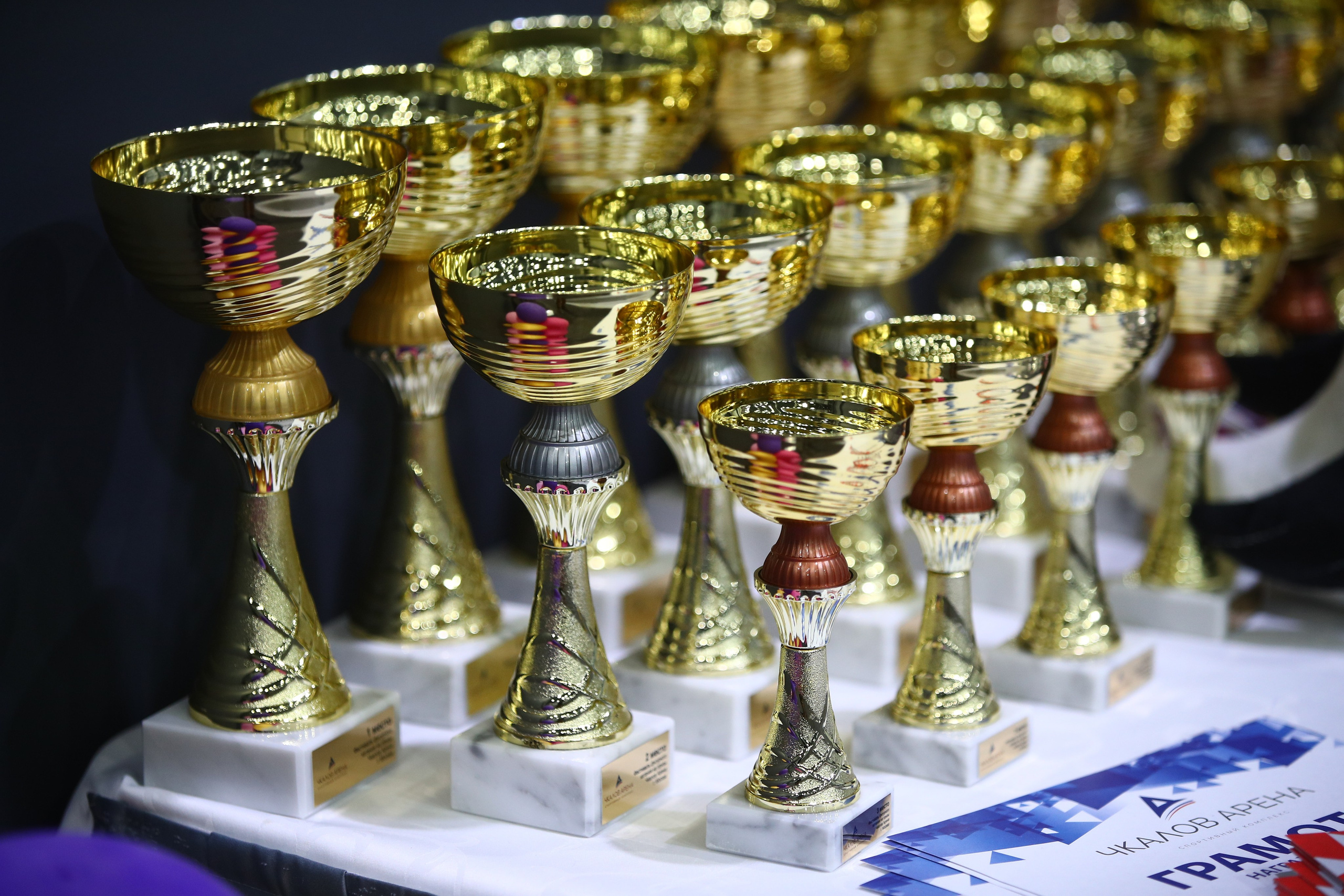 Новогодний фестиваль по фигурному катанию, «Чкалов Арена»: заказ фото. Фотограф художественная гимнастика, фигурное катание, Москва и область