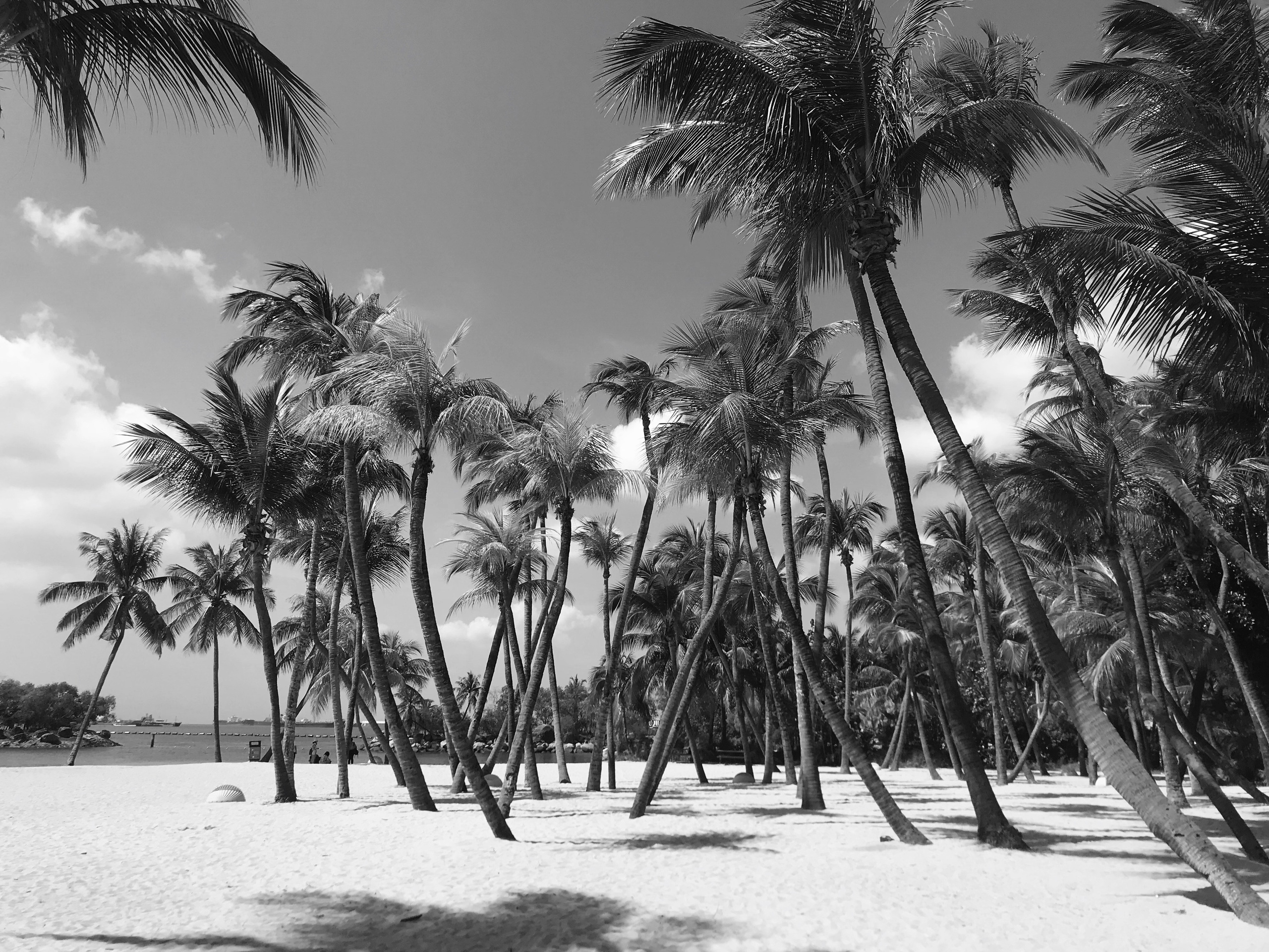 Автор: Анастасия Шкулепа