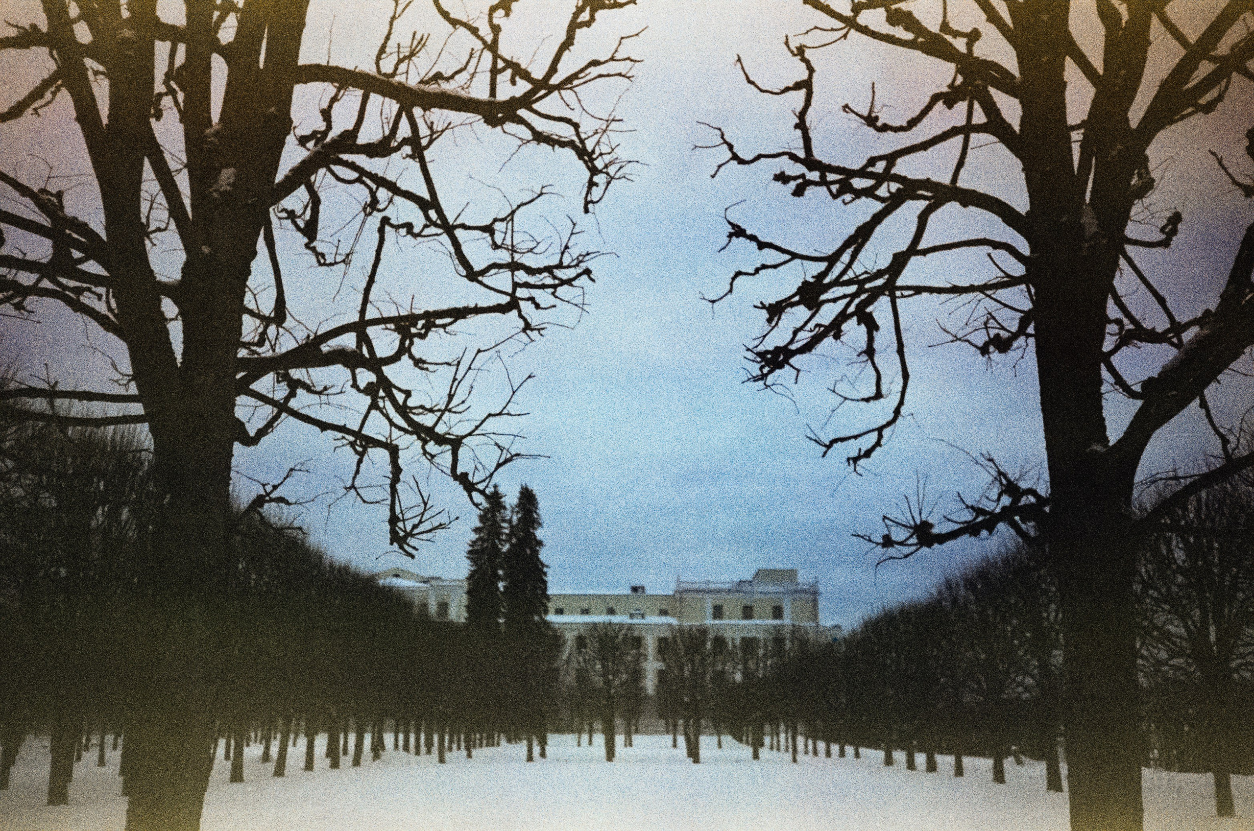 Fujicolor Superia 200 (просрочка) / Cosina CX-1 / 6 января 2025 года Усадьба Архангельское