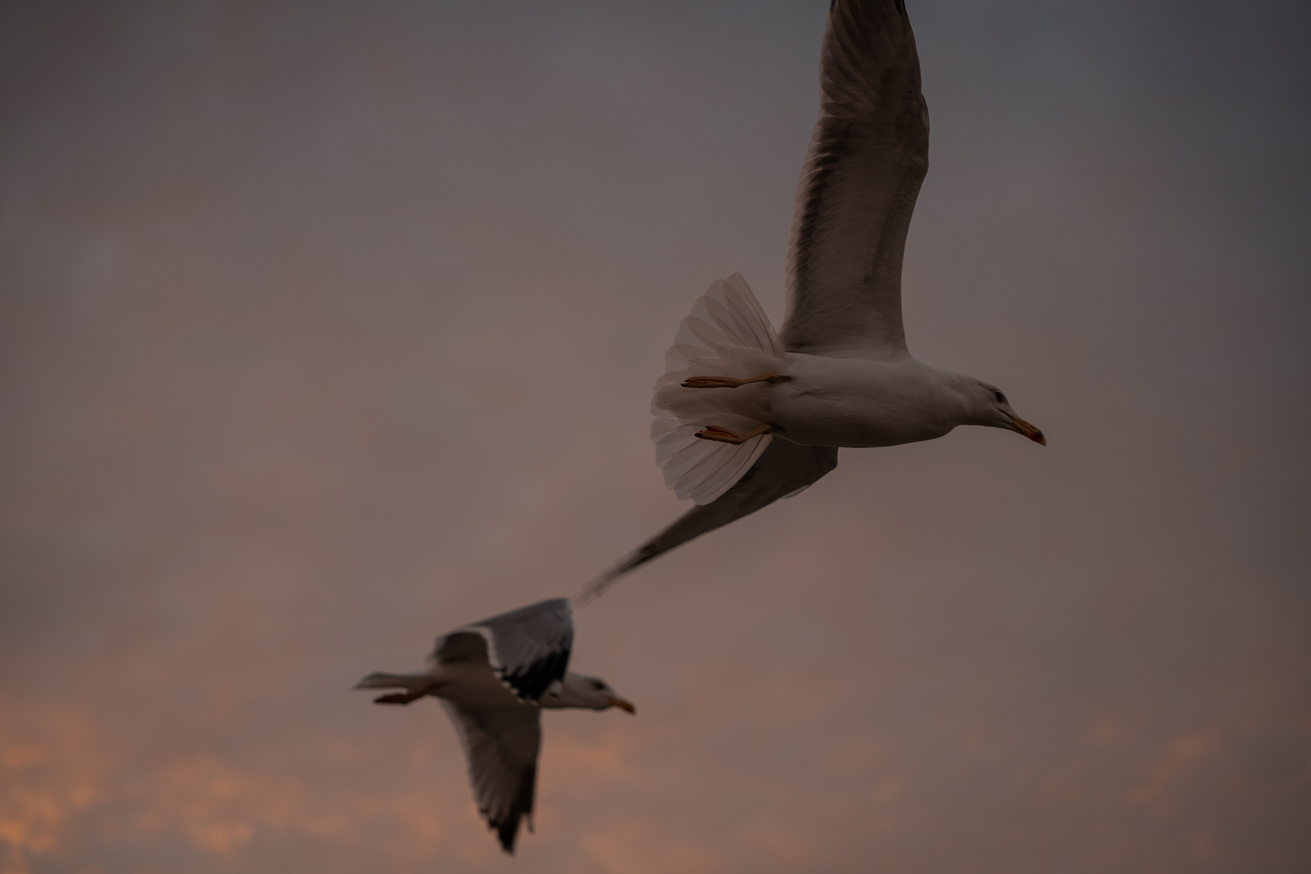 Турция — Стамбул. Илья Варин — Фотограф Москва, Тверь