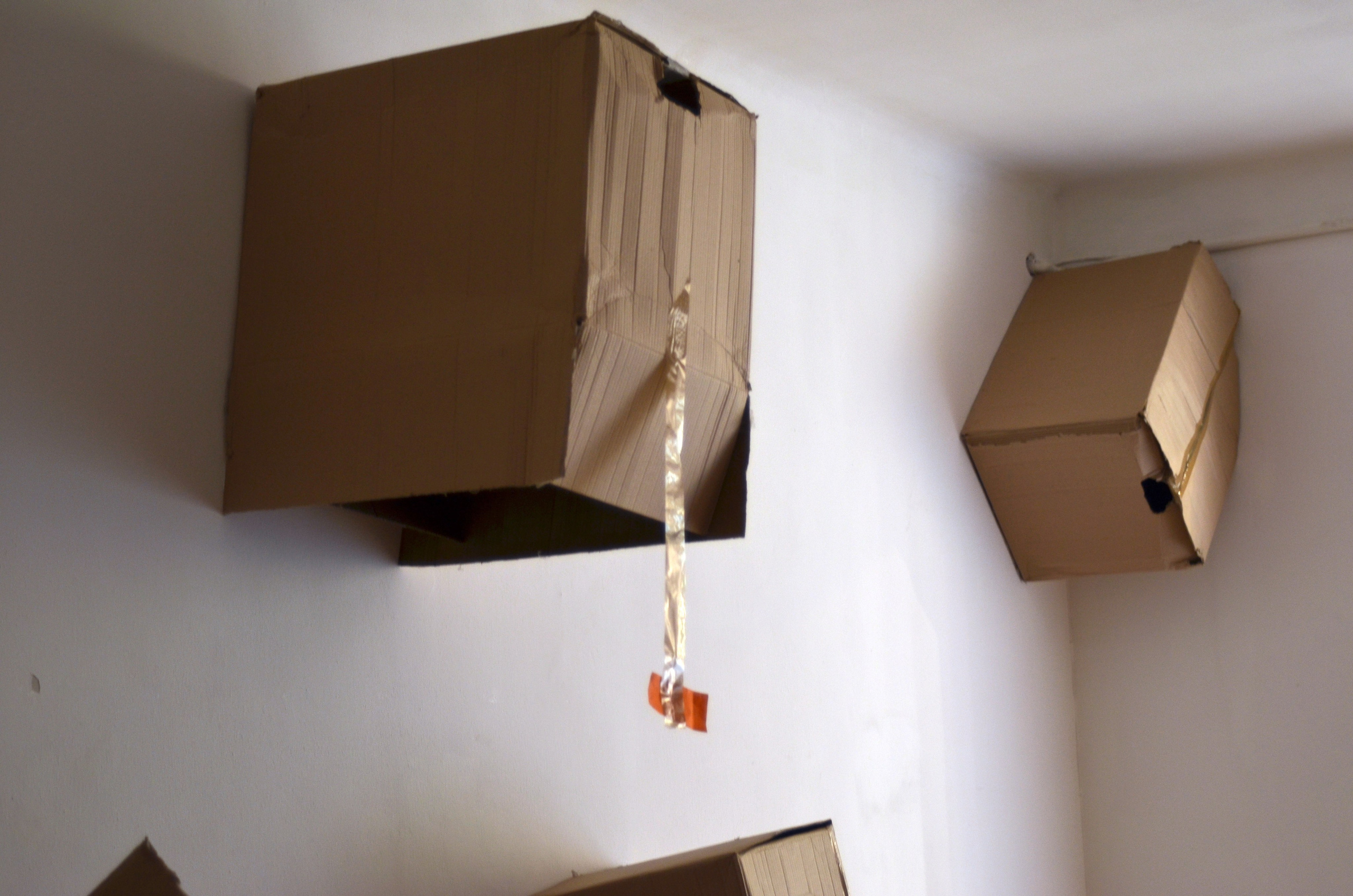 2024 performans “boxes”. Home