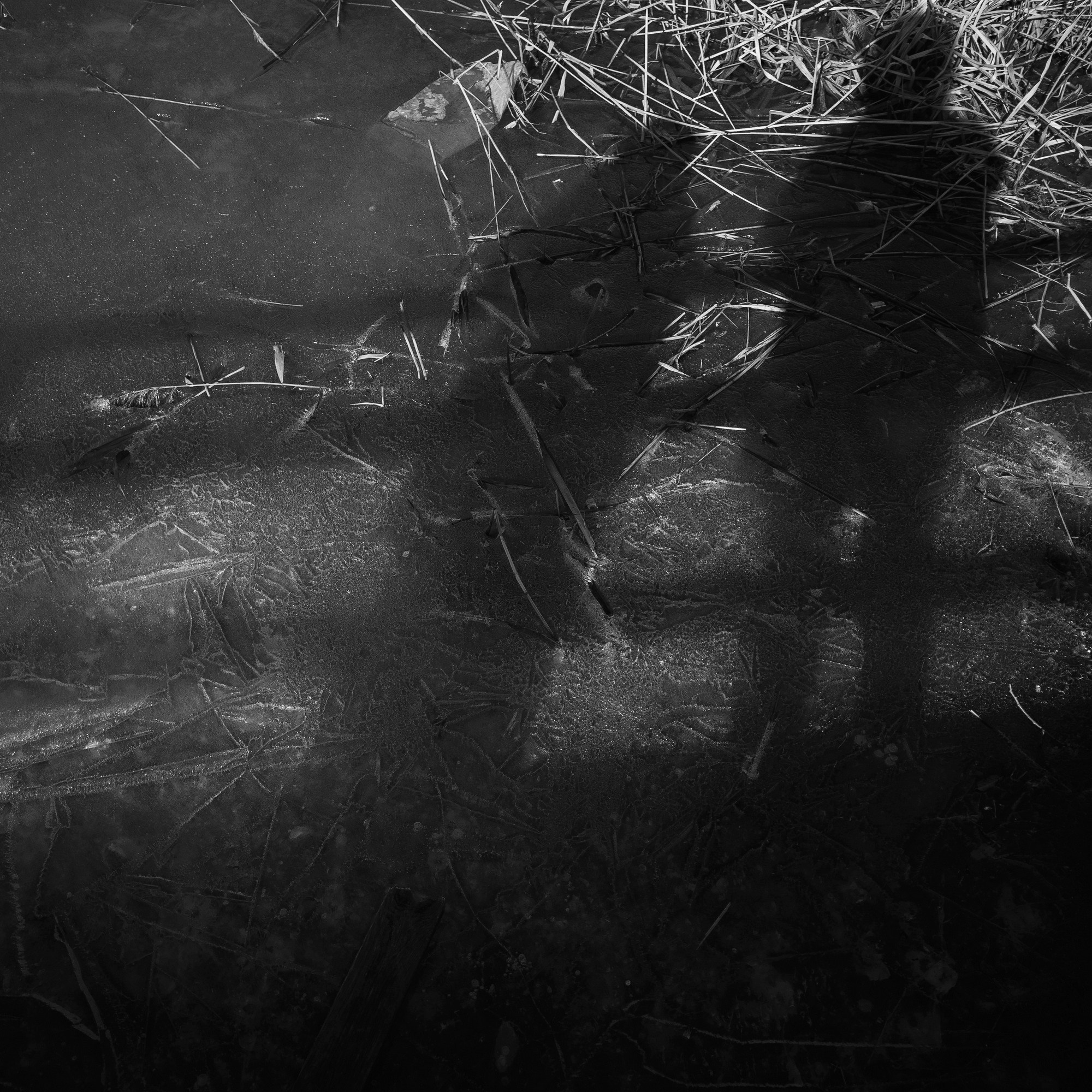 Прогулки по Суздальскому княжеству. Paintings by the artist Sergey Ratchin