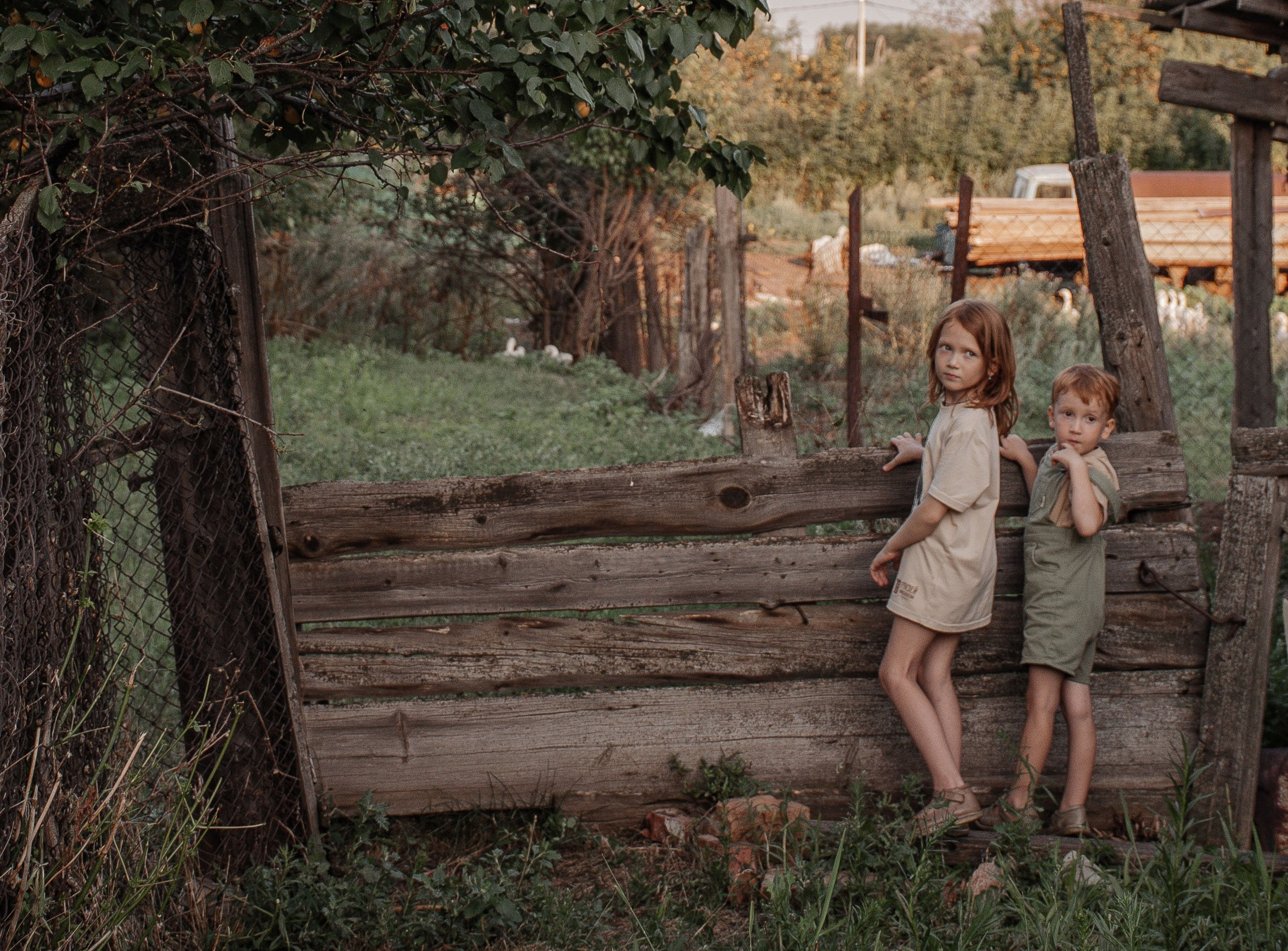 DINA MOREVA photography