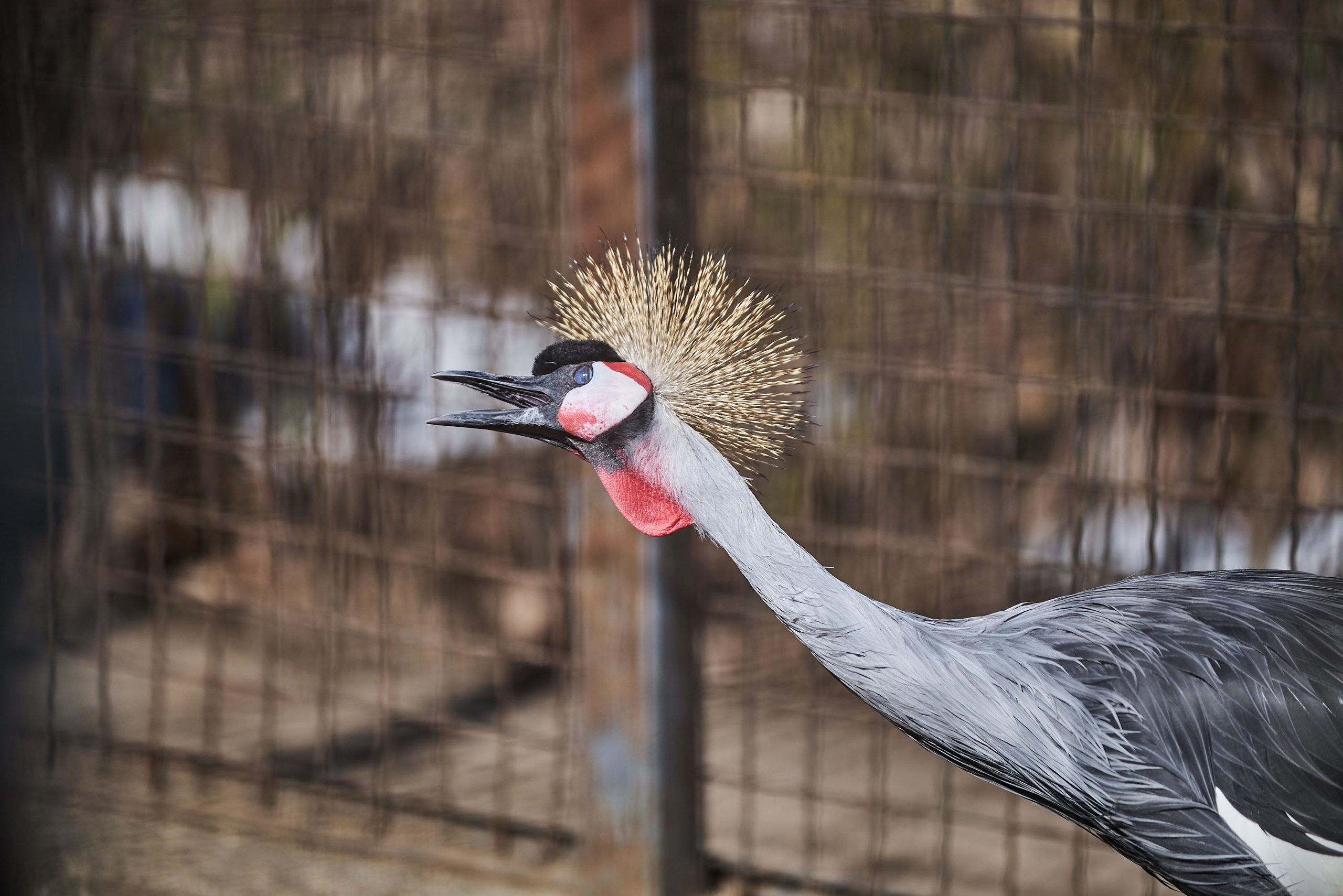 Зоопарк Иваново. Фотограф в Иваново: Каталожная съемка одежды и постельного белья, Wildberries