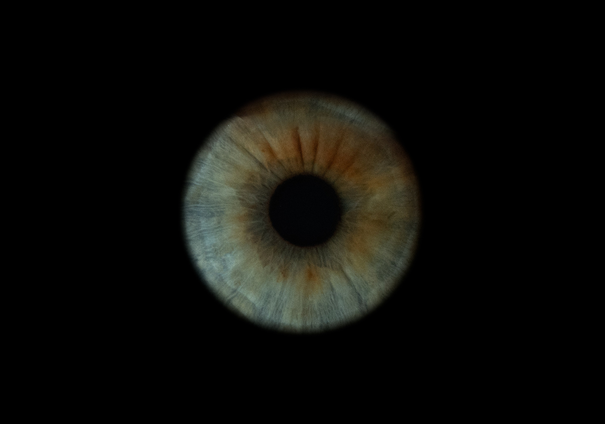 Фотостудия макросъёмки радужки глаз в Севастополе «Ojo art»