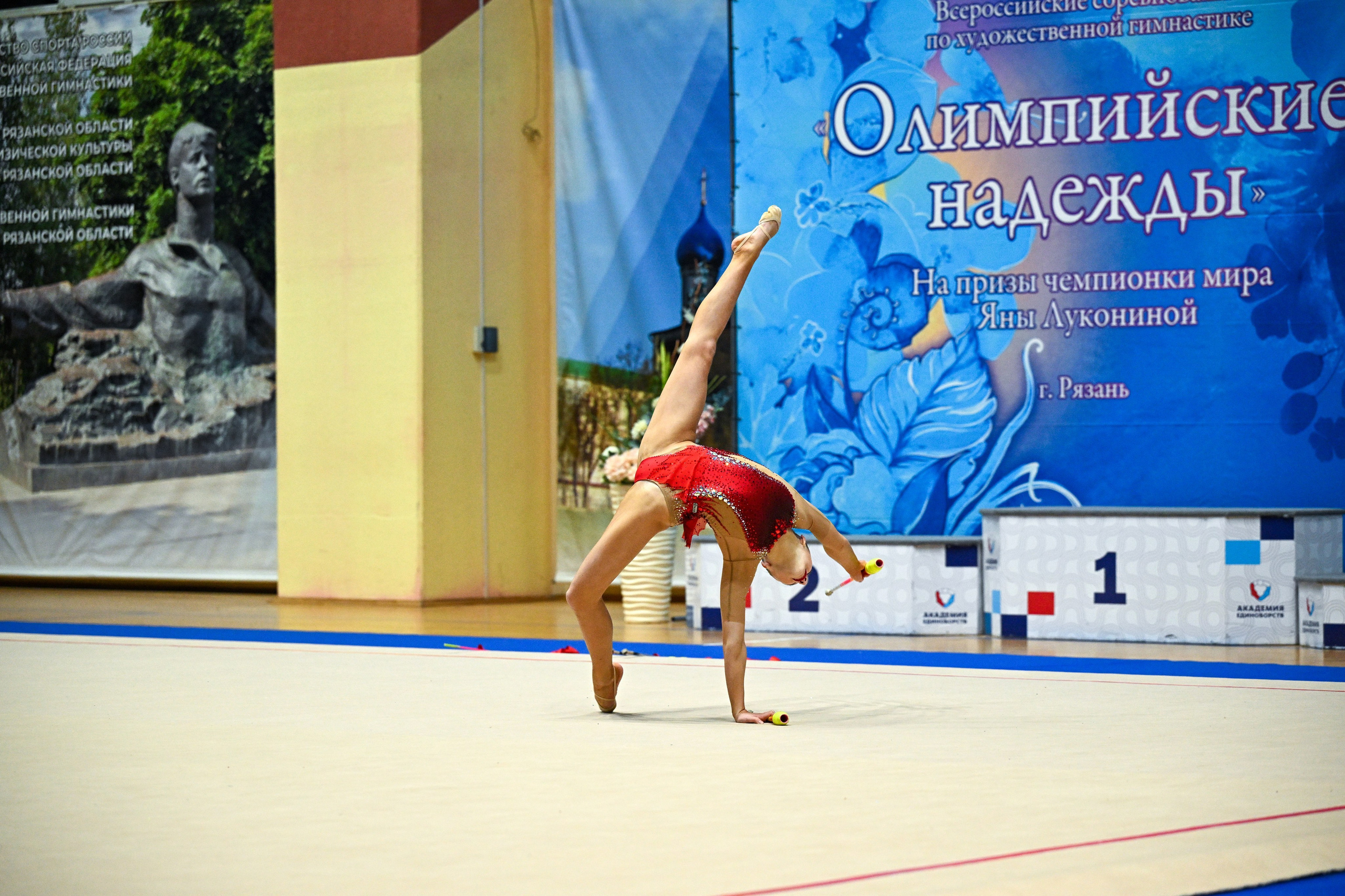 Всероссийские соревнования по художественной гимнастике «ОЛИМПИЙСКИЕ НАДЕЖДЫ на ПРИЗЫ ЧЕМПИОНКИ МИРА ЯНЫ ЛУКОНИНОЙ». ФОТОВИДЕОСПОРТ. Фото видео услуги на соревнованиях по художественной гимнастике. Видеотрансляция соревнований. Москва, ЦФО, ПФО