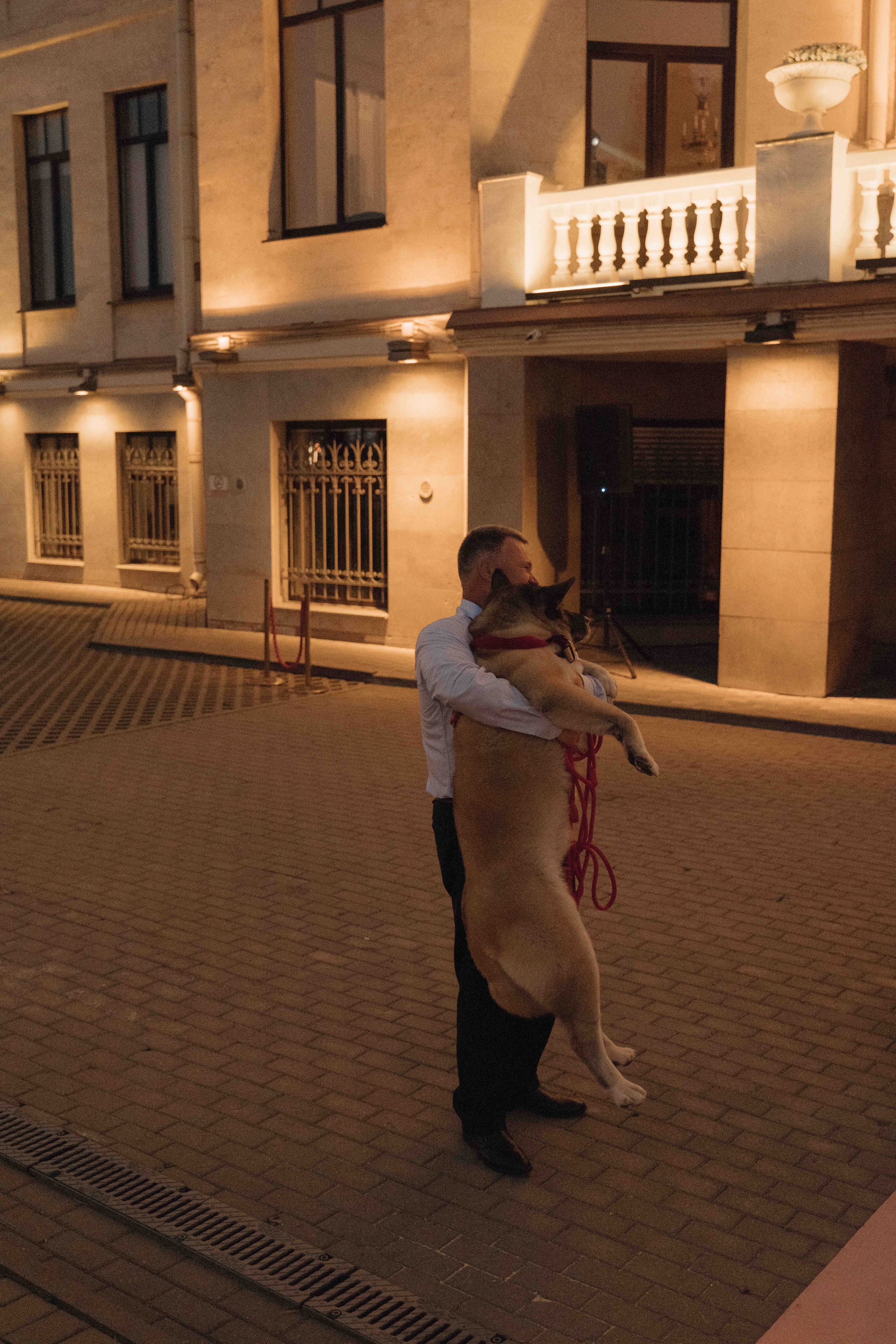 Love&Paws. Сентиментальная свадебная фотография