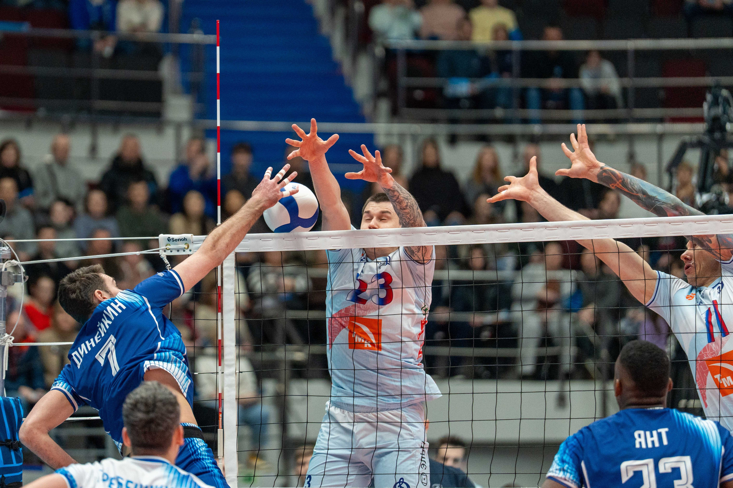 Zenit vs Dynamo Moscow: a straight-set win in Saint Petersburg | Anton Gauf. Sports Photographer in Saint Petersburg | Anton Hauff