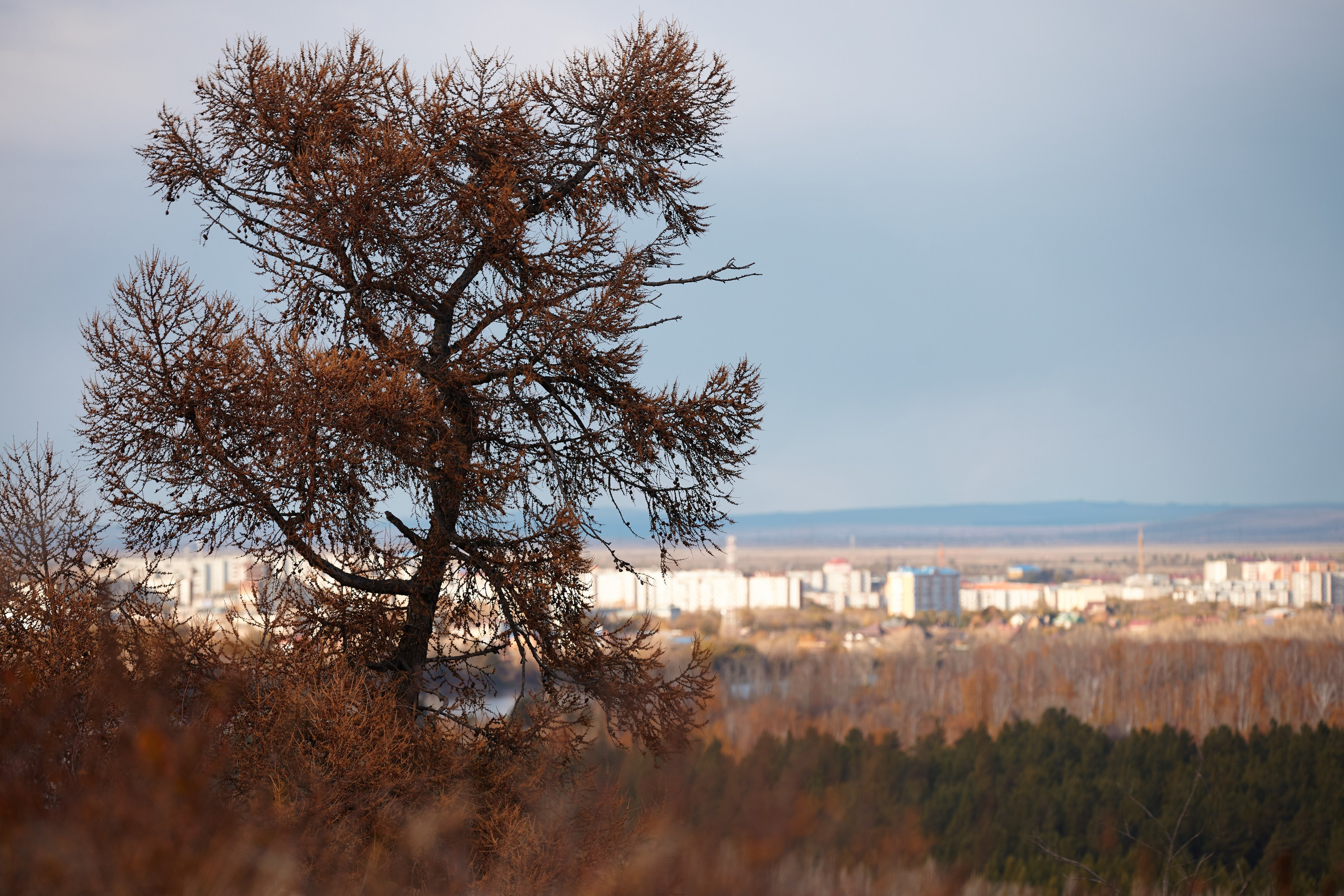 Прогулялся за городом). Портреты с душой: Иван Зиновьев -Фотограф в Саяногорске