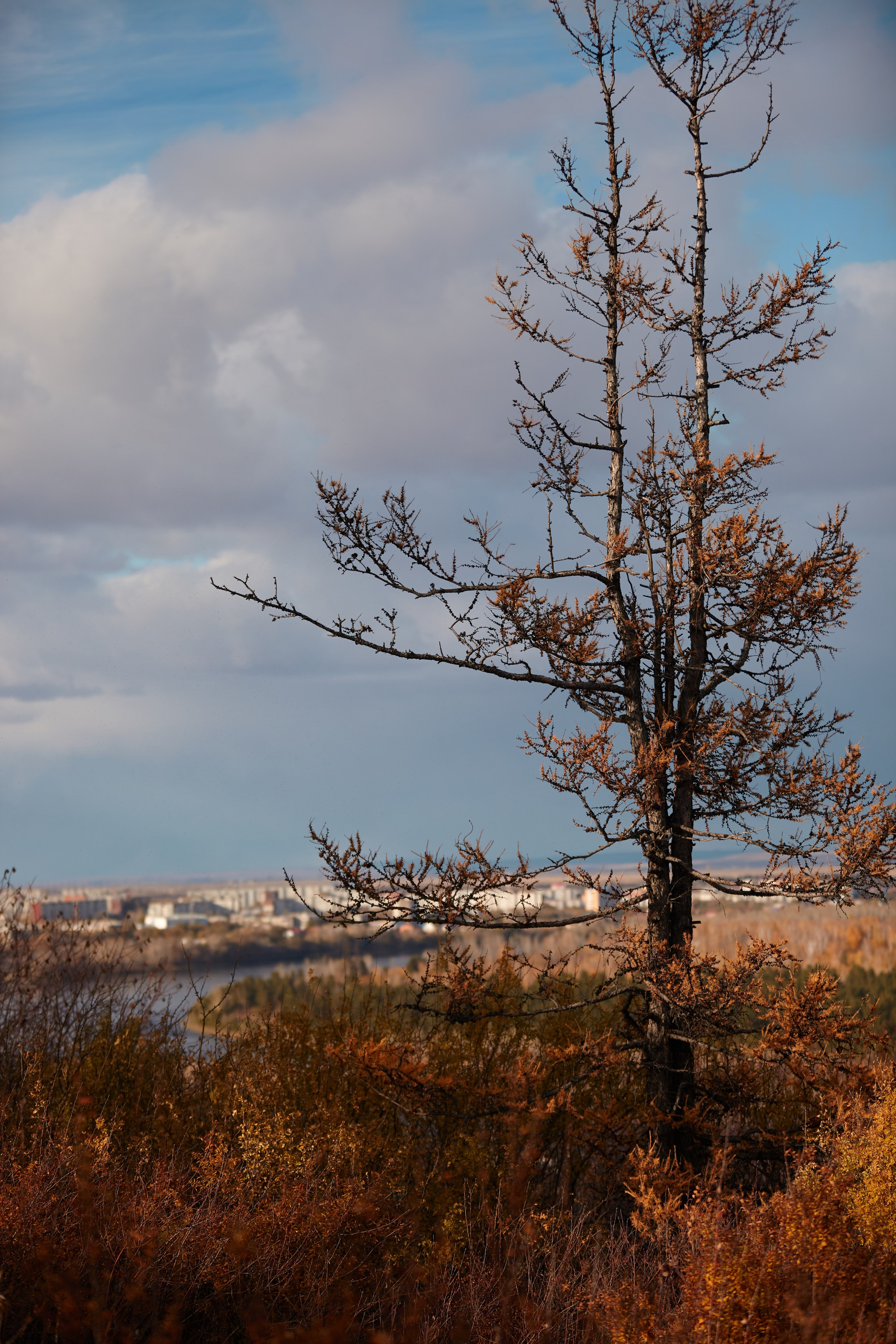 Прогулялся за городом). Портреты с душой: Иван Зиновьев -Фотограф в Саяногорске