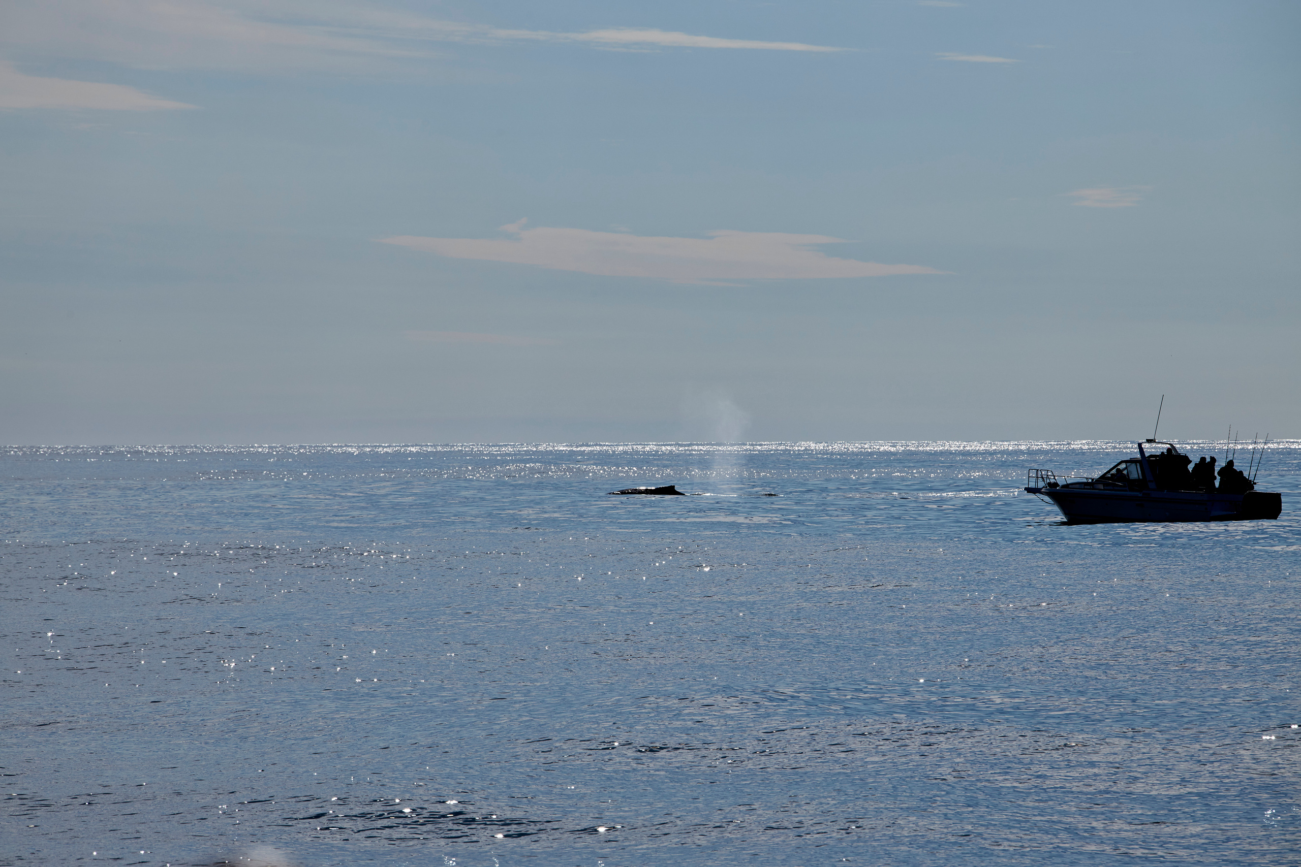 Фотографии из поездки по Камчатке. Анна Потявина. Фотограф Москва