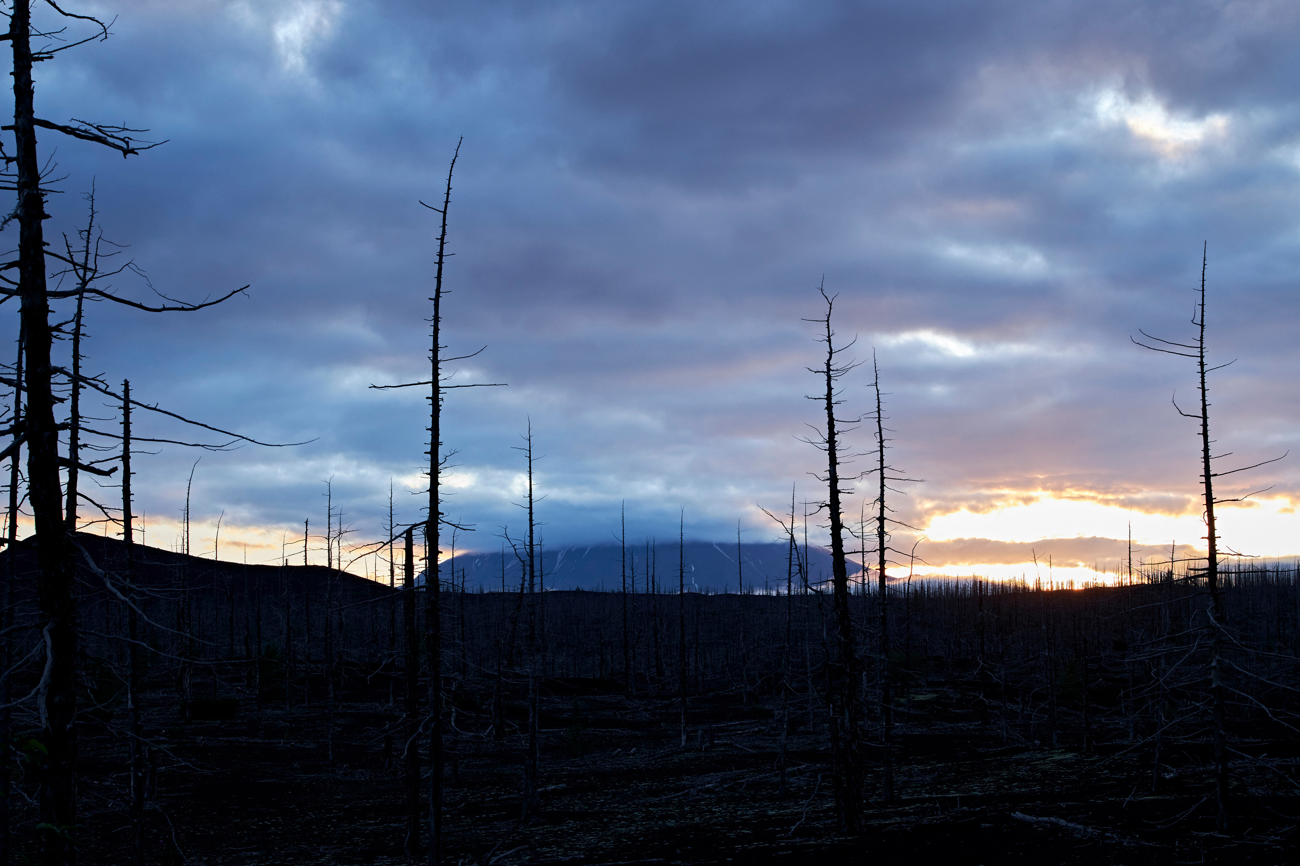 Фотографии из поездки по Камчатке. Анна Потявина. Фотограф Москва