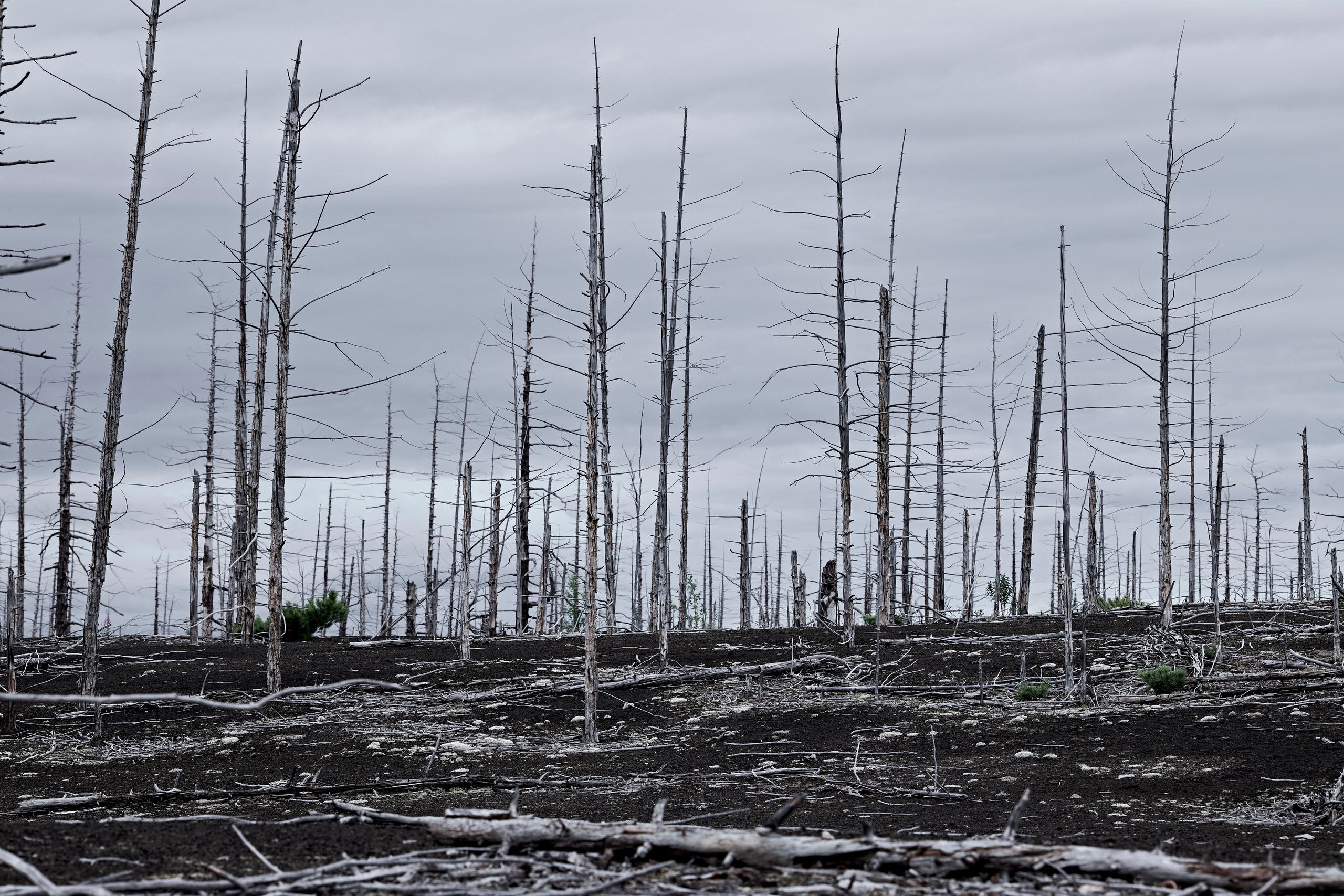 Фотографии из поездки по Камчатке. Анна Потявина. Фотограф Москва