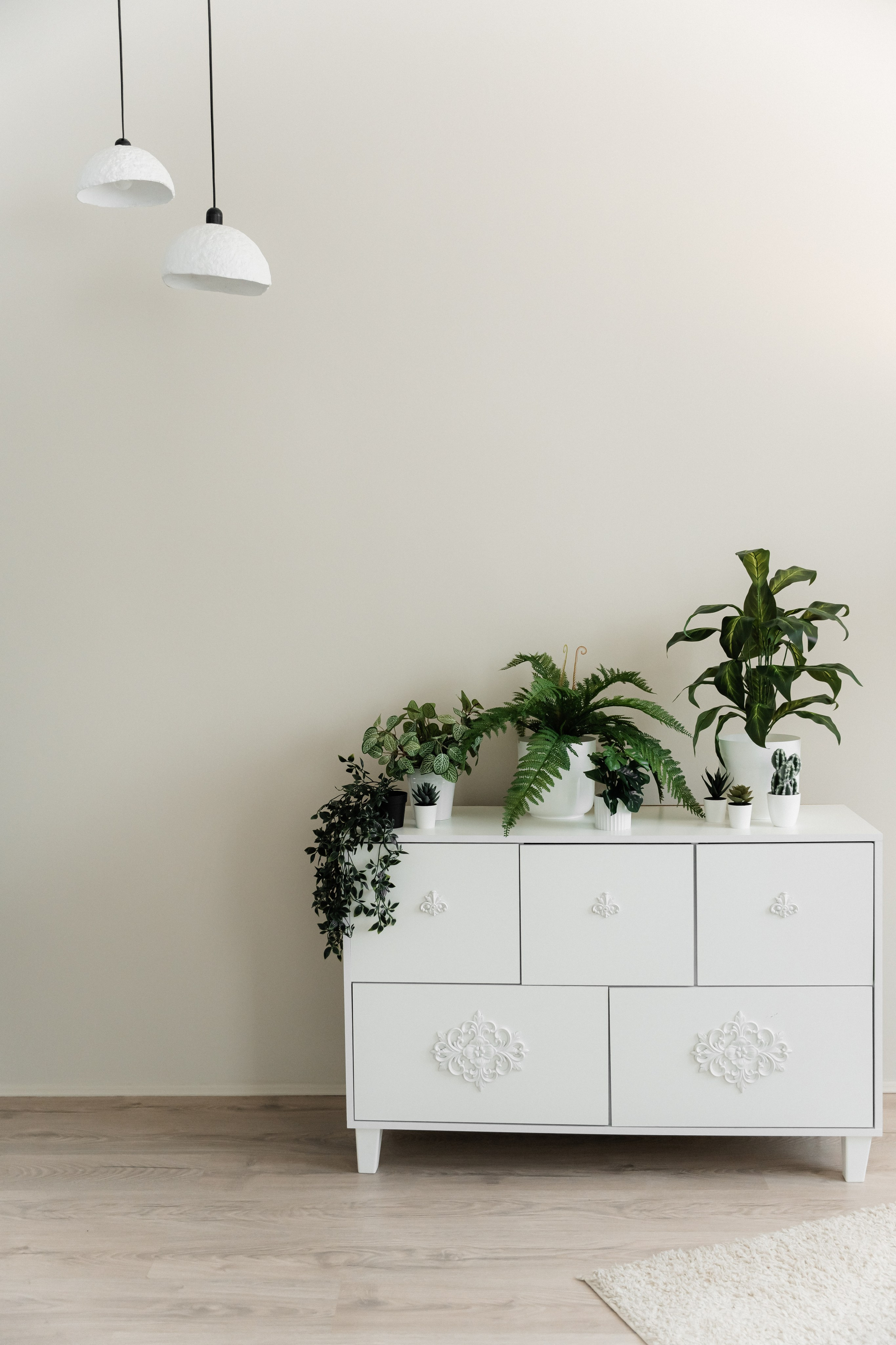 21.01. Фотограф Сергиев Посад / Москва / Дмитров / Дубна