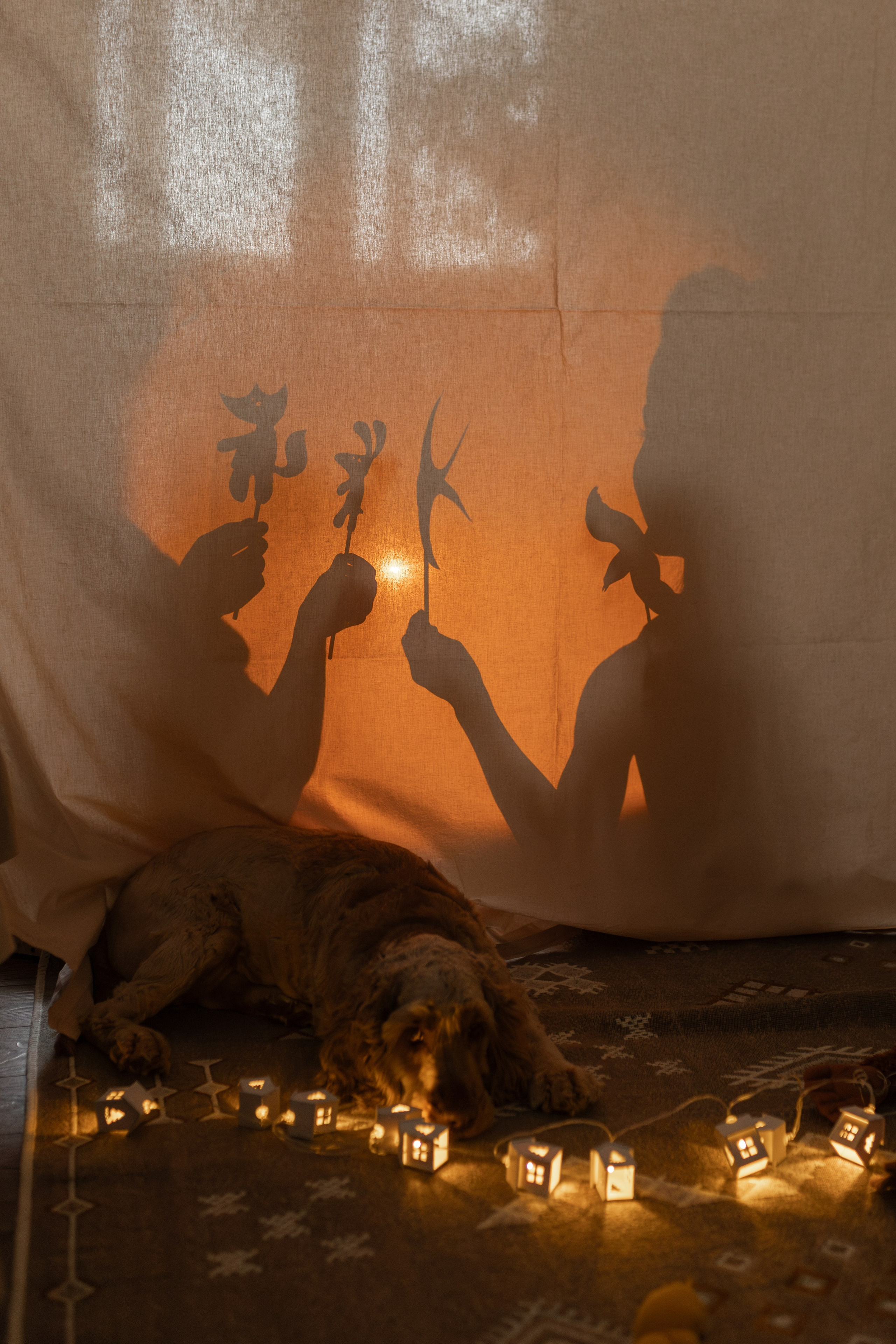 Фотограф Барнаул Новоалтайск