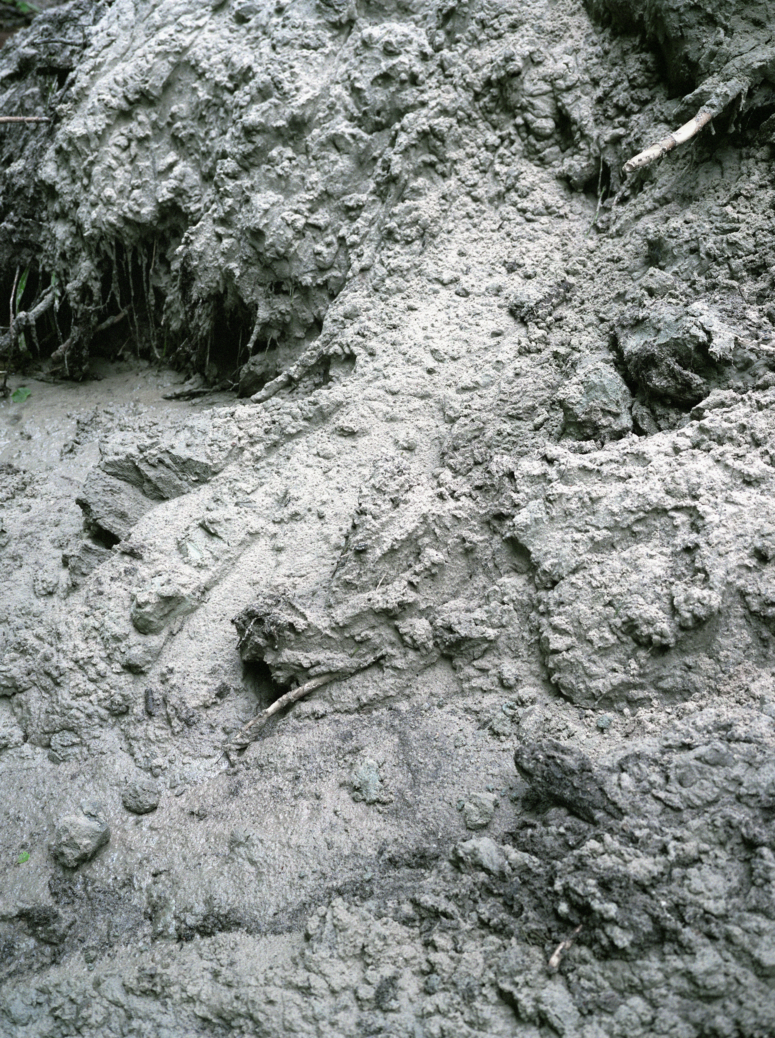 The Bryansk Natural Reserve. 2021