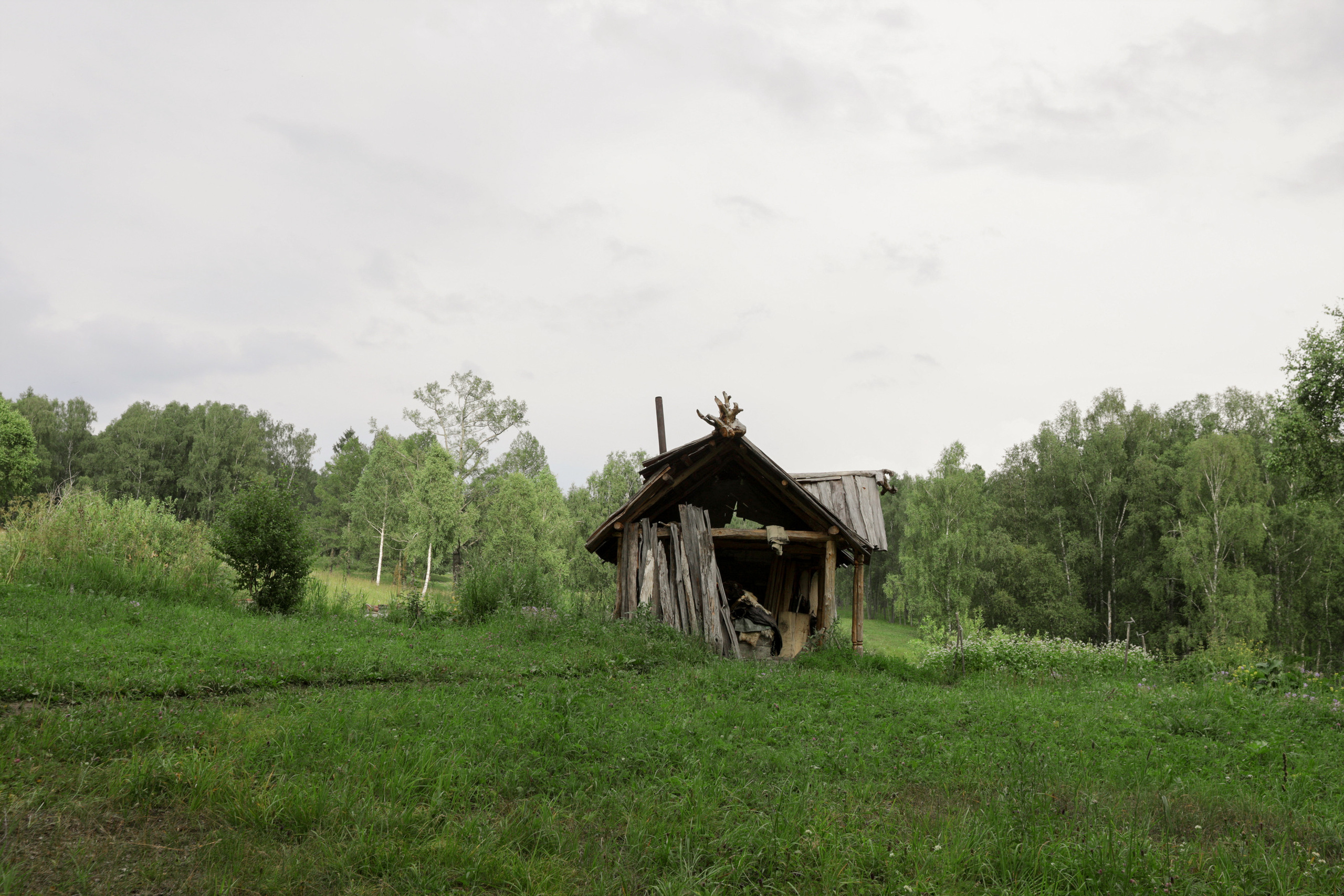 Камень и Вера. Надежда Крылова