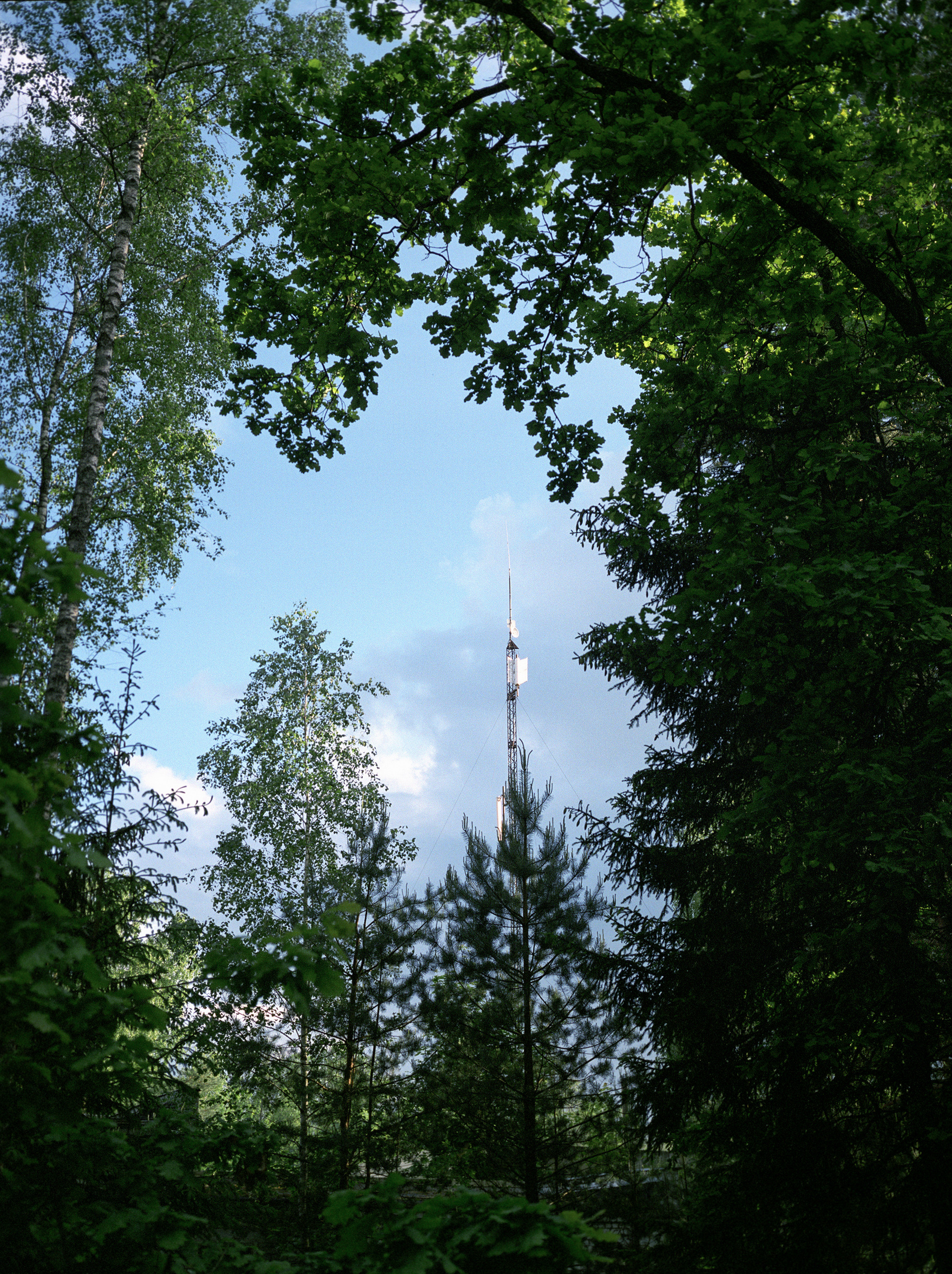 Bryansk Natural Reserve Central Manor, 2021