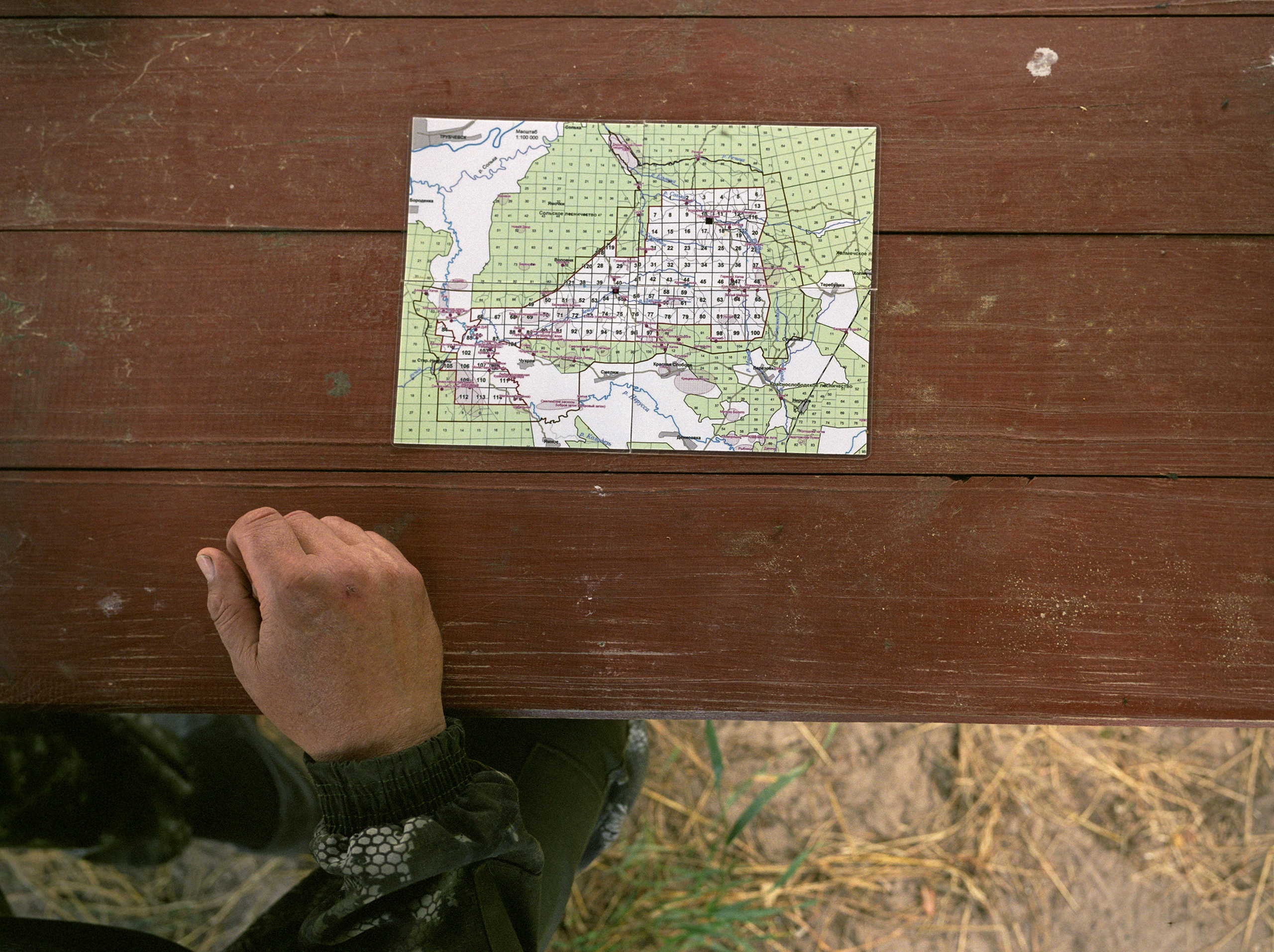 A map of the Bryansk Natural Reserve showing area division. Kordon Vily, 2021