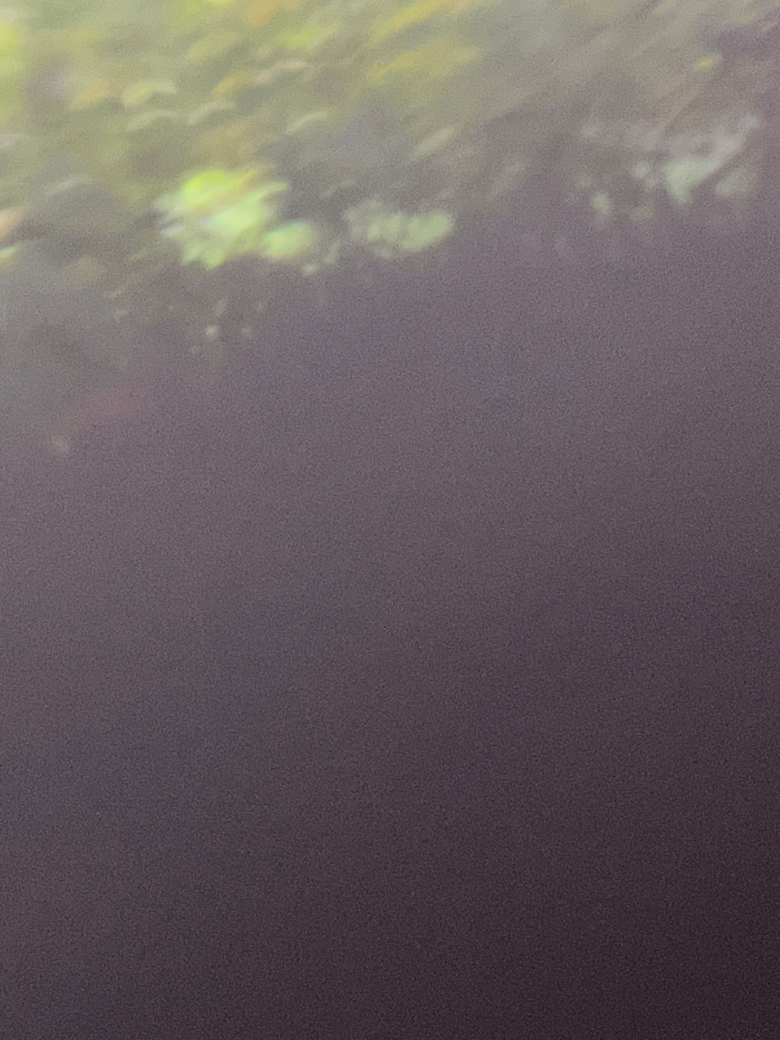 След души – путешествие в Сад