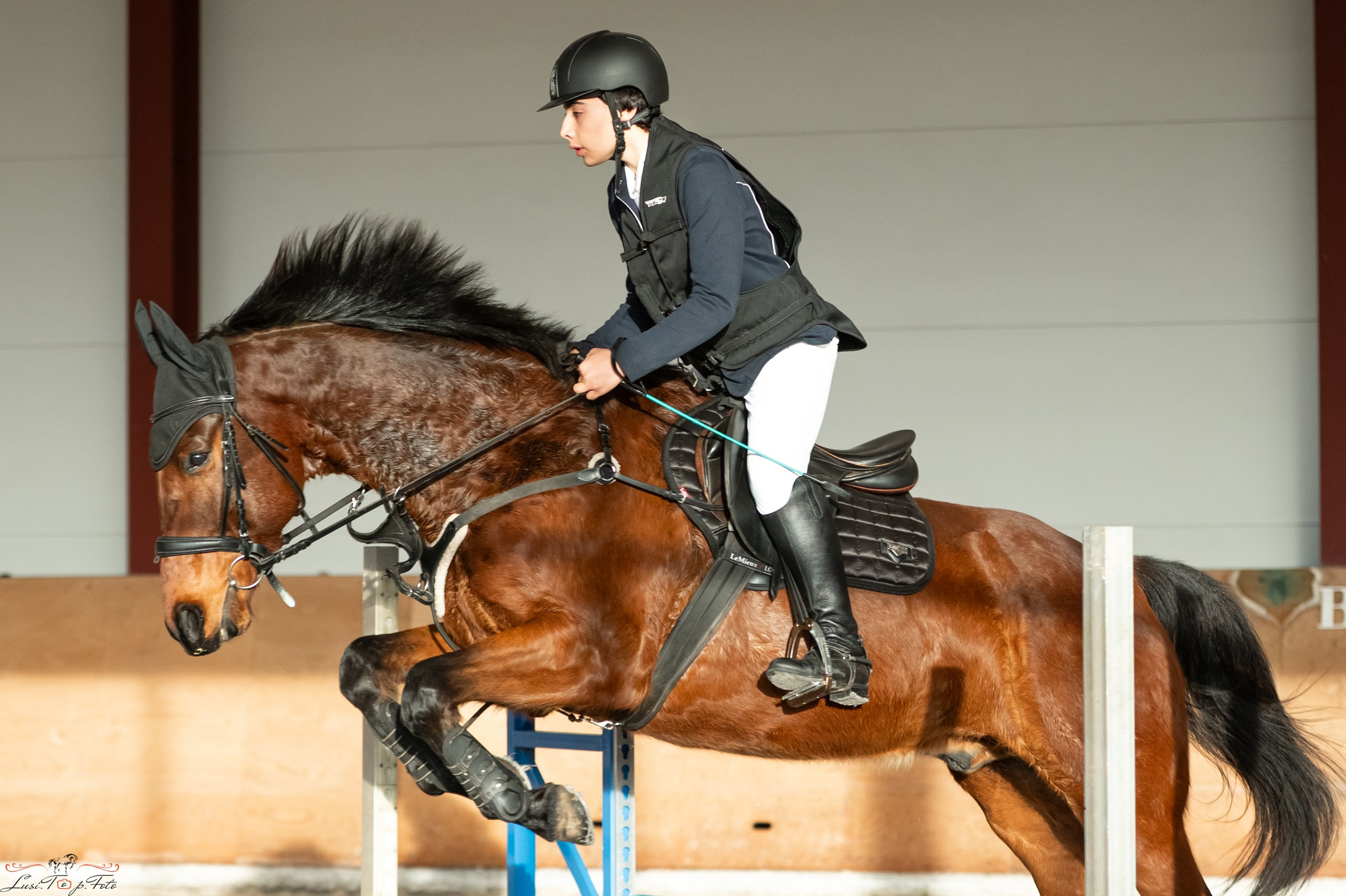 Эквипарк 6 этап Кубка Клубов. Конный и фотограф с животными в Твери Топталова Люся