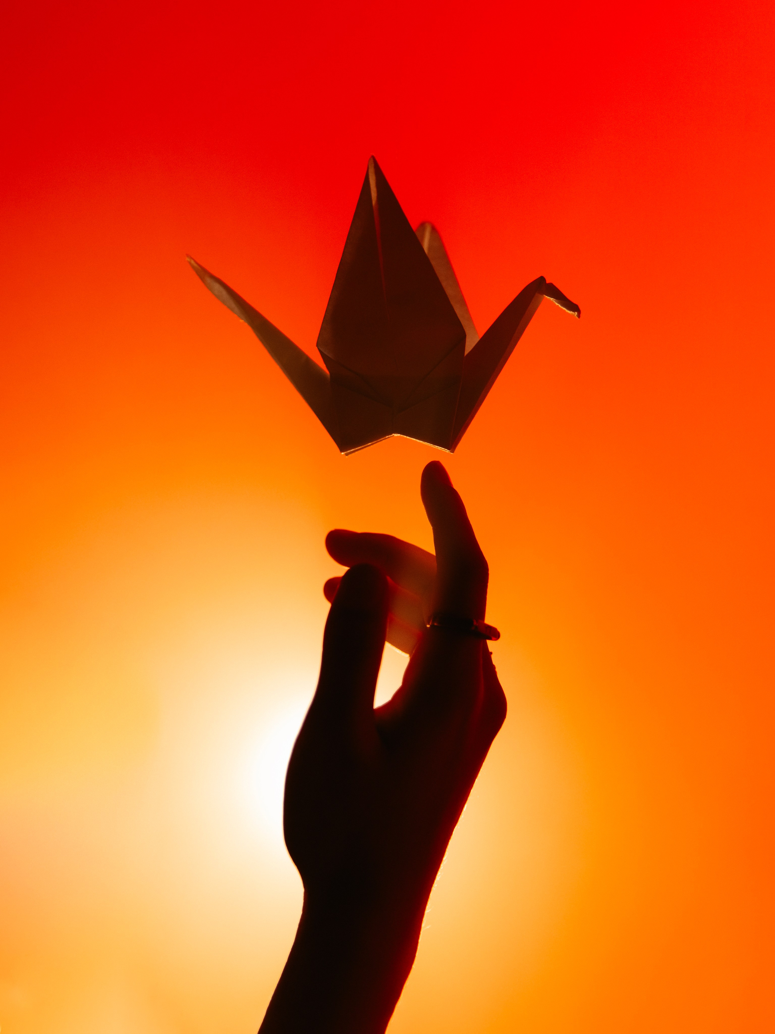 «Тени Киото»