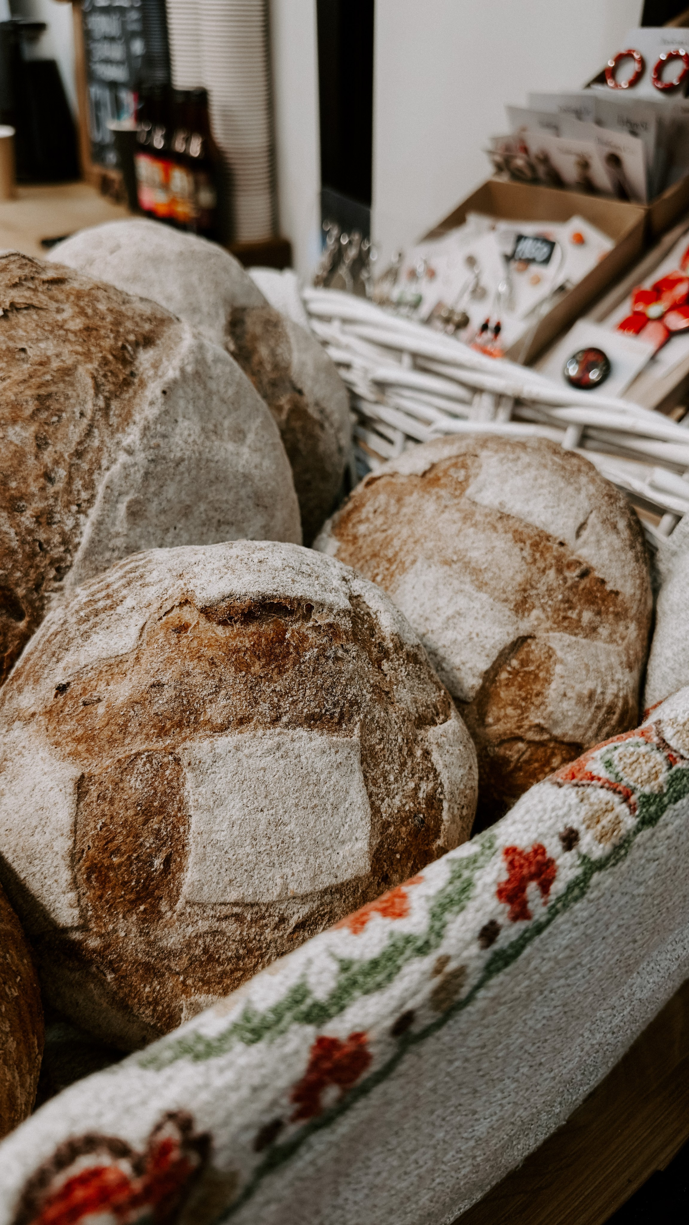 О том, как мы исследовали земли Залесские. Главная