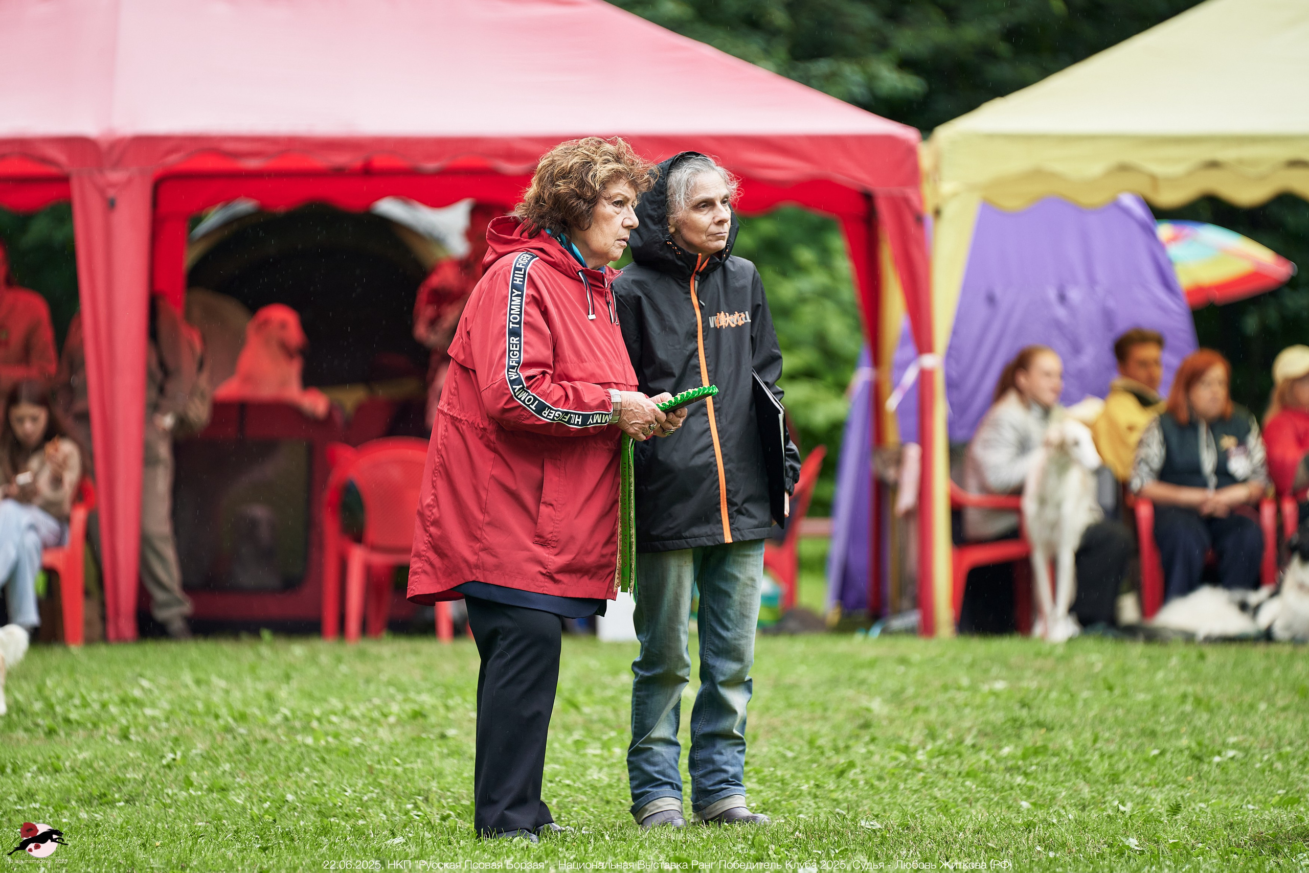 22.06.2025 | Национальная Выставка НКП "Русская Псовая Борзая"