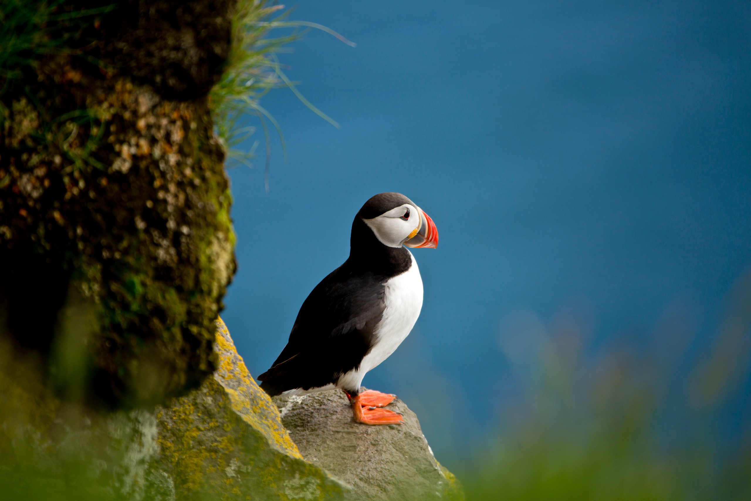 Фотограф Кирилл Сергеев | Москва