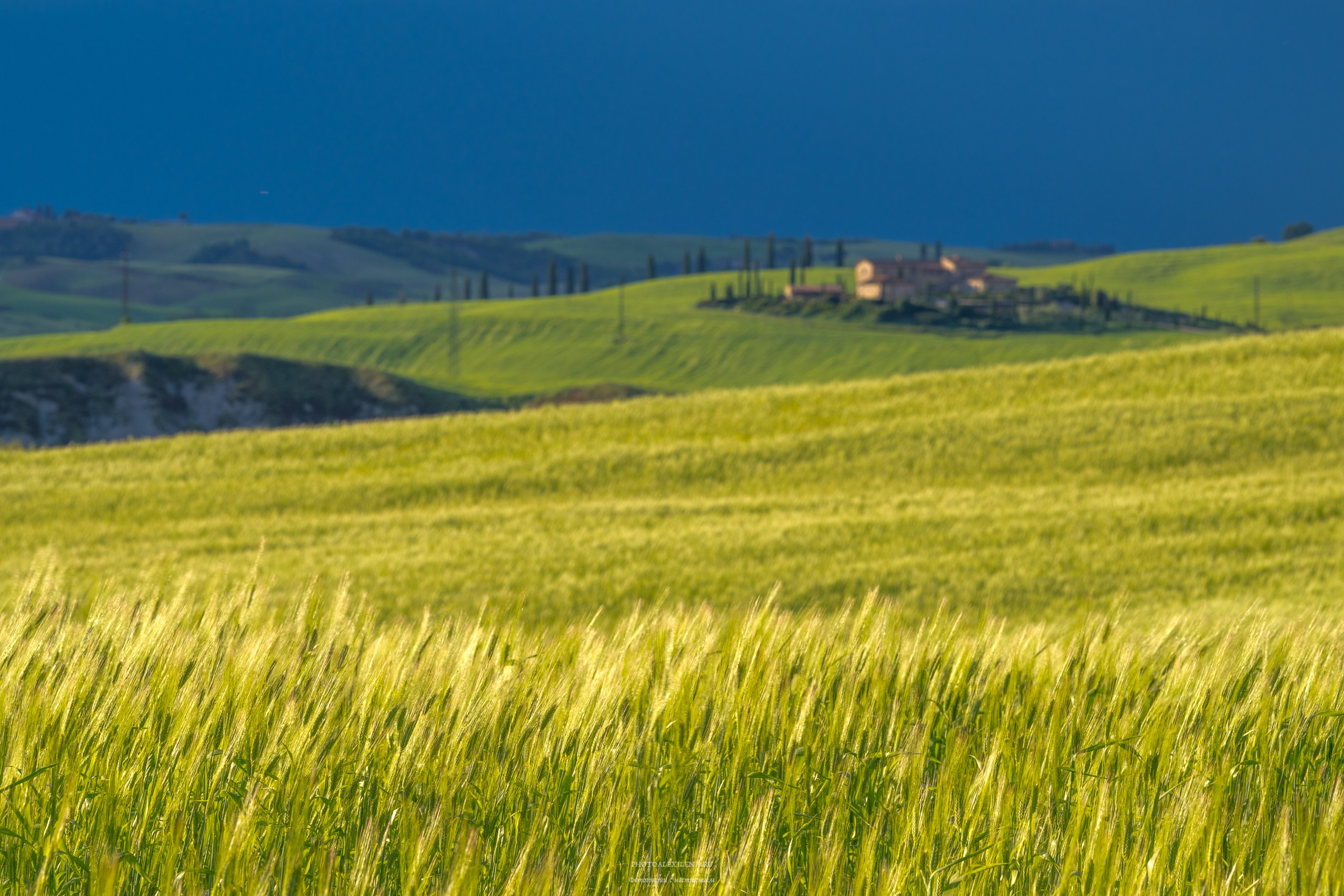 Путешествие сквозь красоту и вдохновение. Авторские стильные фотокартины