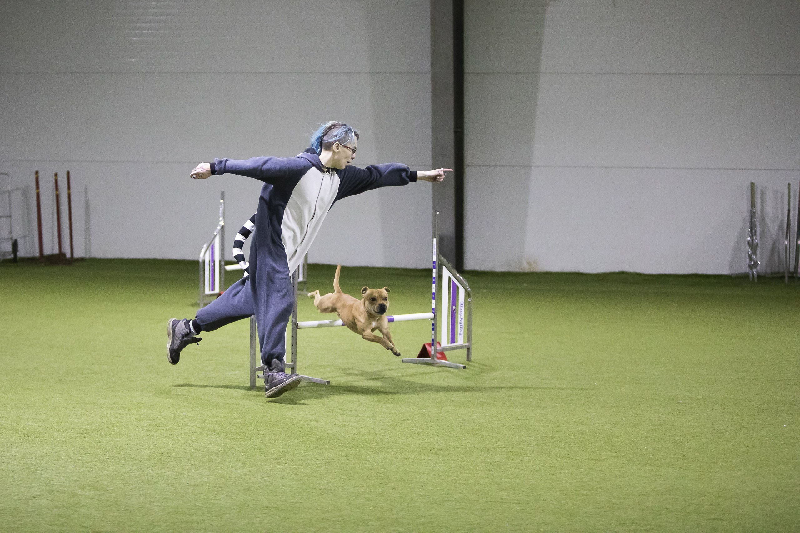 О нас. BLGKV питомник собак