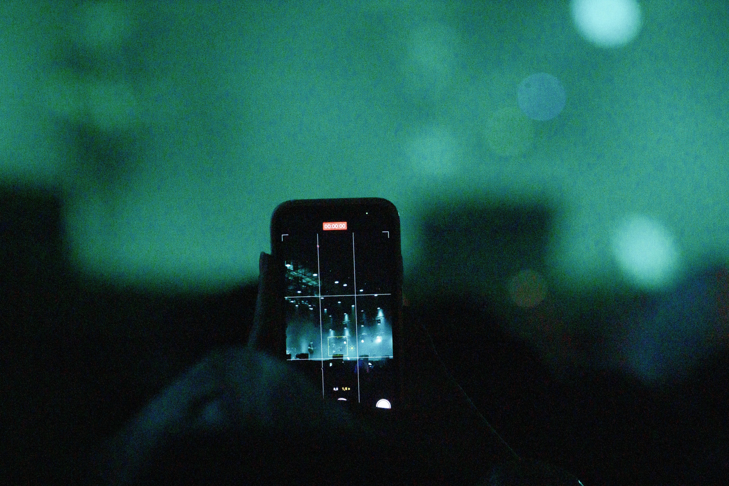 Дикая мята 2025. Концертный фотограф