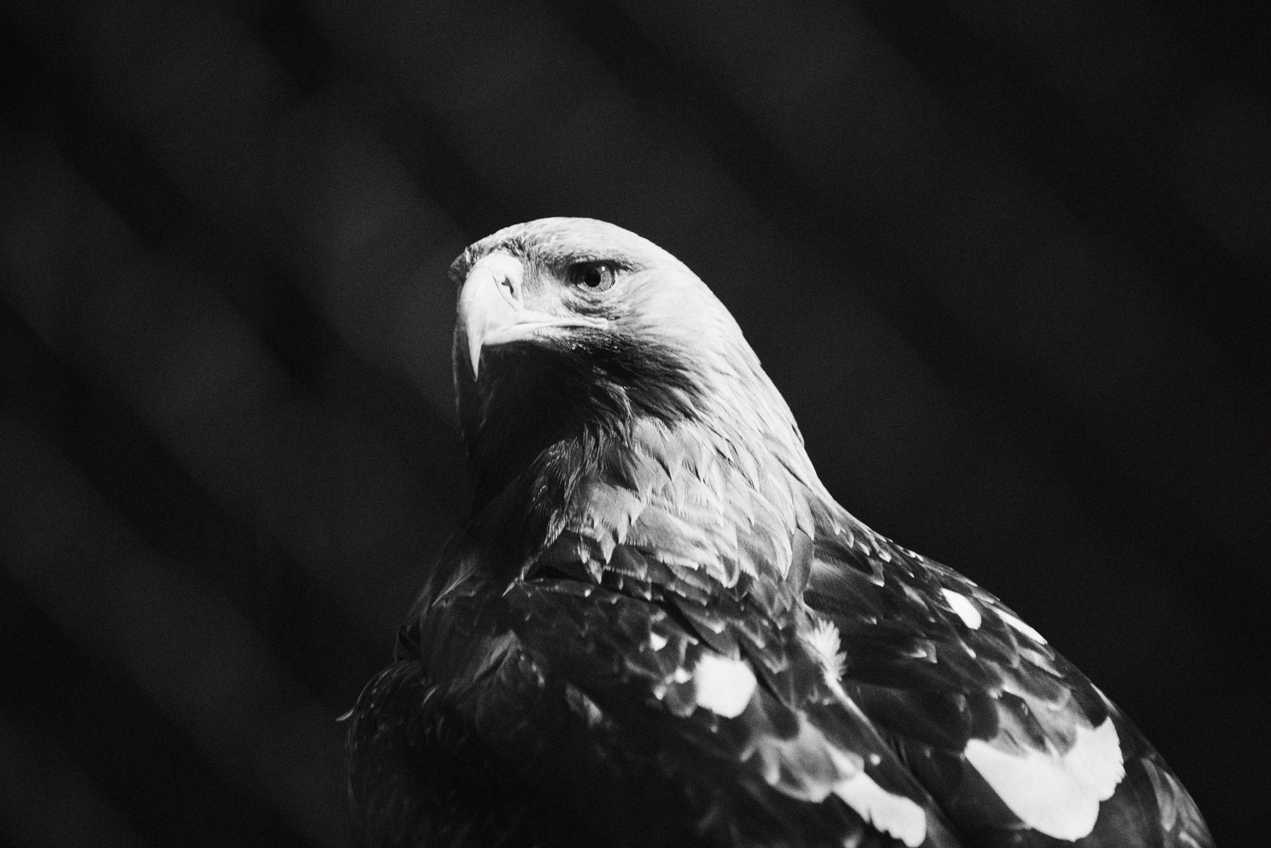 Зоопарк Иваново. Фотограф в Иваново: Каталожная съемка одежды и постельного белья, Wildberries