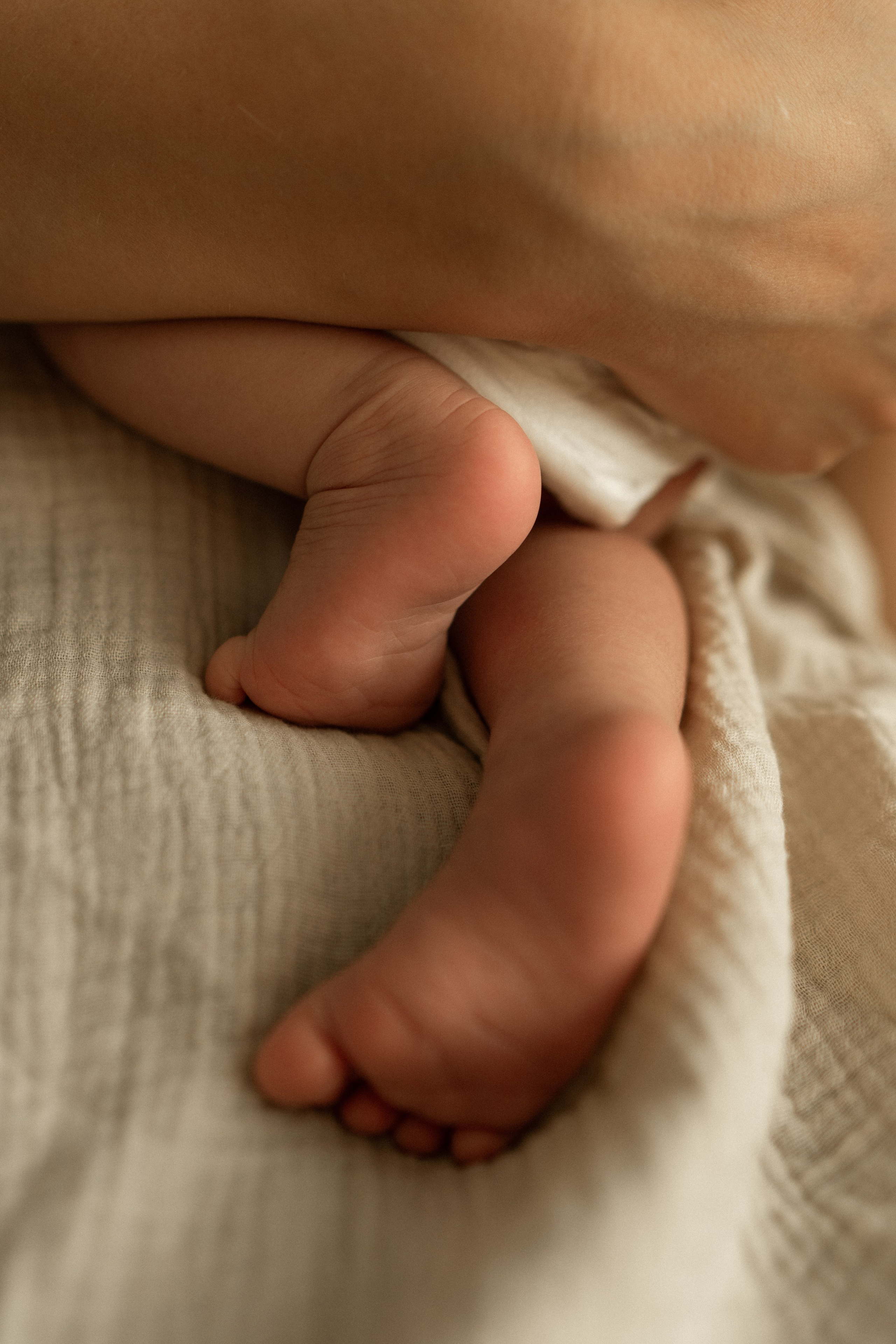 Ясе 1 месяц. Семейный фотограф в Санкт-Петербурге — Наташа Тарасенко