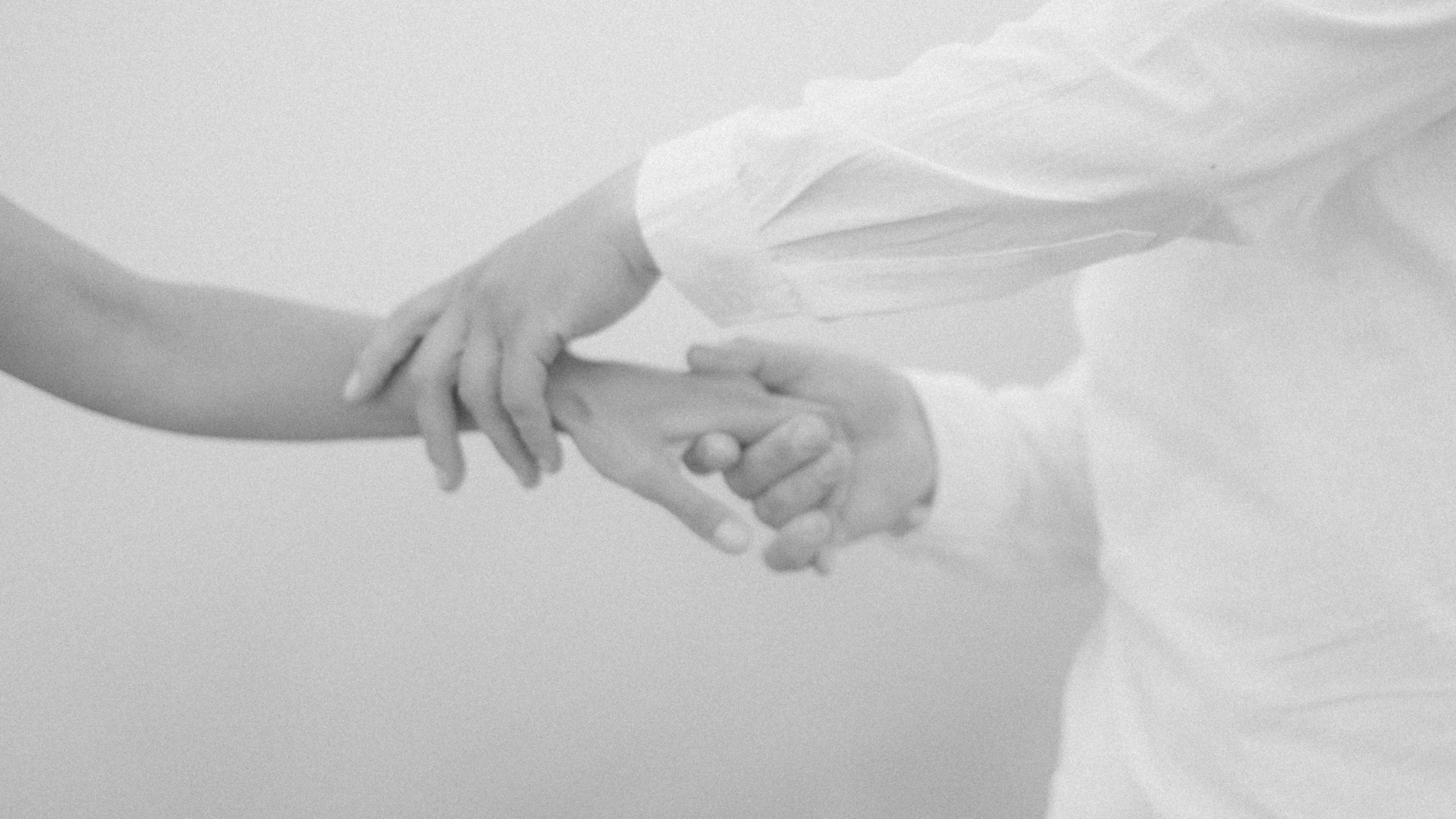 Настасья Перова Фотограф